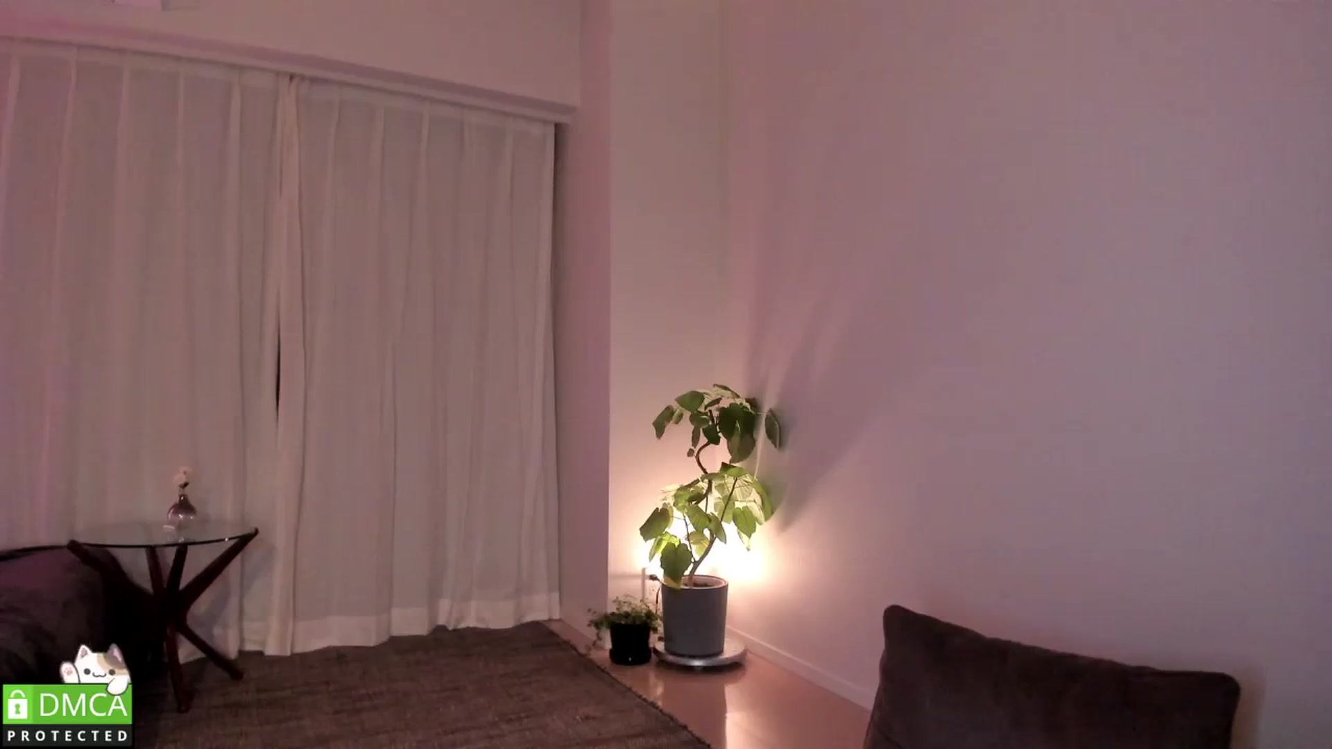 Gallery image thumbnail from ThisIsNanako's myfreecams stream on, 01/25/2026, 15:05 image 9 of 20