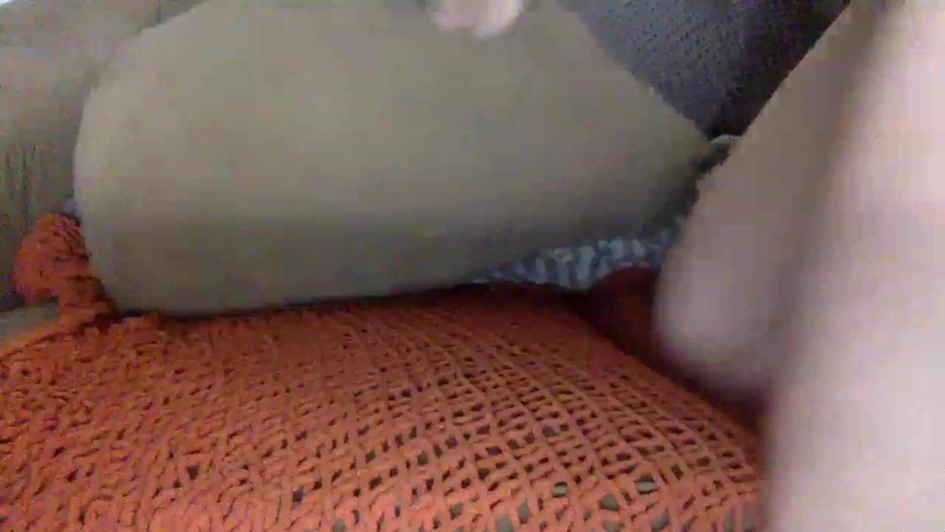 Gallery image thumbnail from ThorneXo's myfreecams stream on, 02/13/2023, 03:18 image 14 of 20
