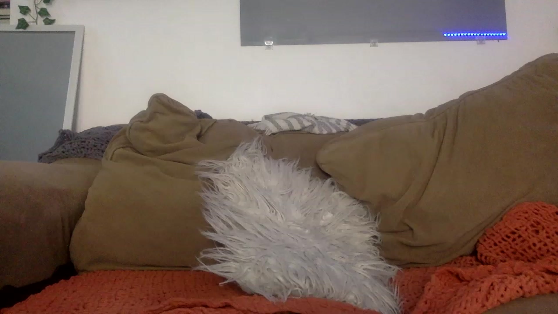 Gallery image thumbnail from ThorneXo's myfreecams stream on, 06/01/2023, 23:07 image 6 of 20