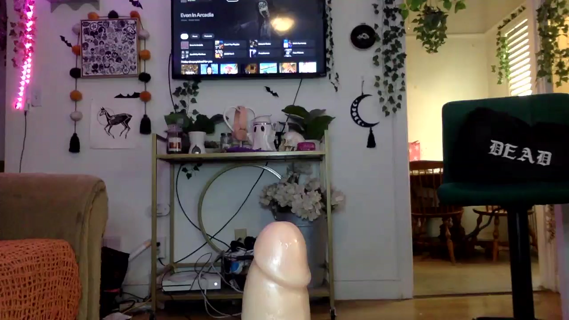 Gallery image thumbnail from ThorneXo's myfreecams stream on, 05/10/2025, 24:03 image 7 of 20