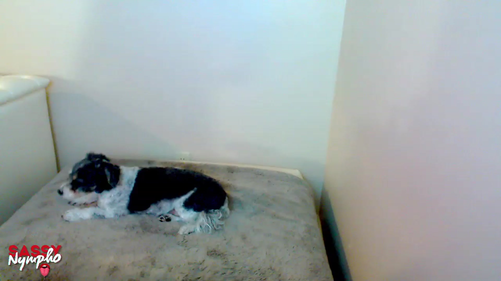 Gallery image thumbnail from Throat_GoatXx's myfreecams stream on, 05/07/2023, 08:51 image 13 of 20