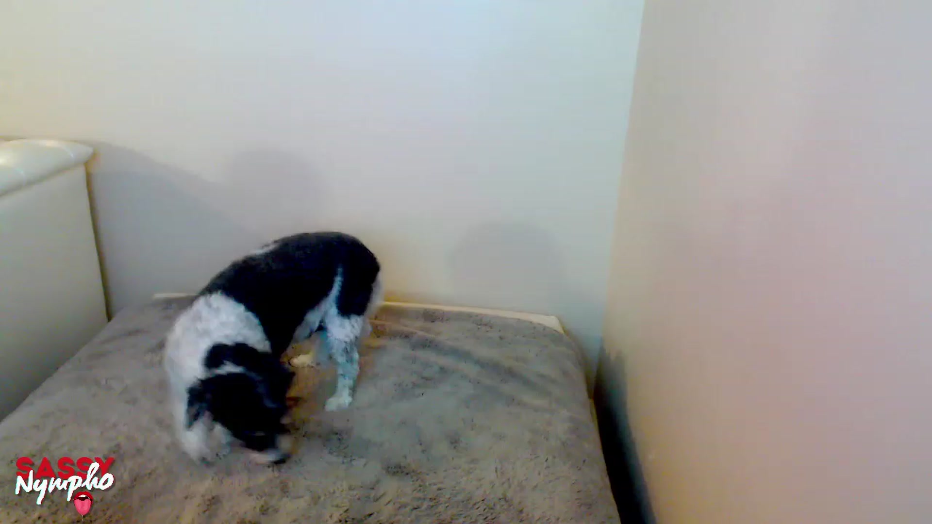Gallery image thumbnail from Throat_GoatXx's myfreecams stream on, 05/07/2023, 08:51 image 16 of 20