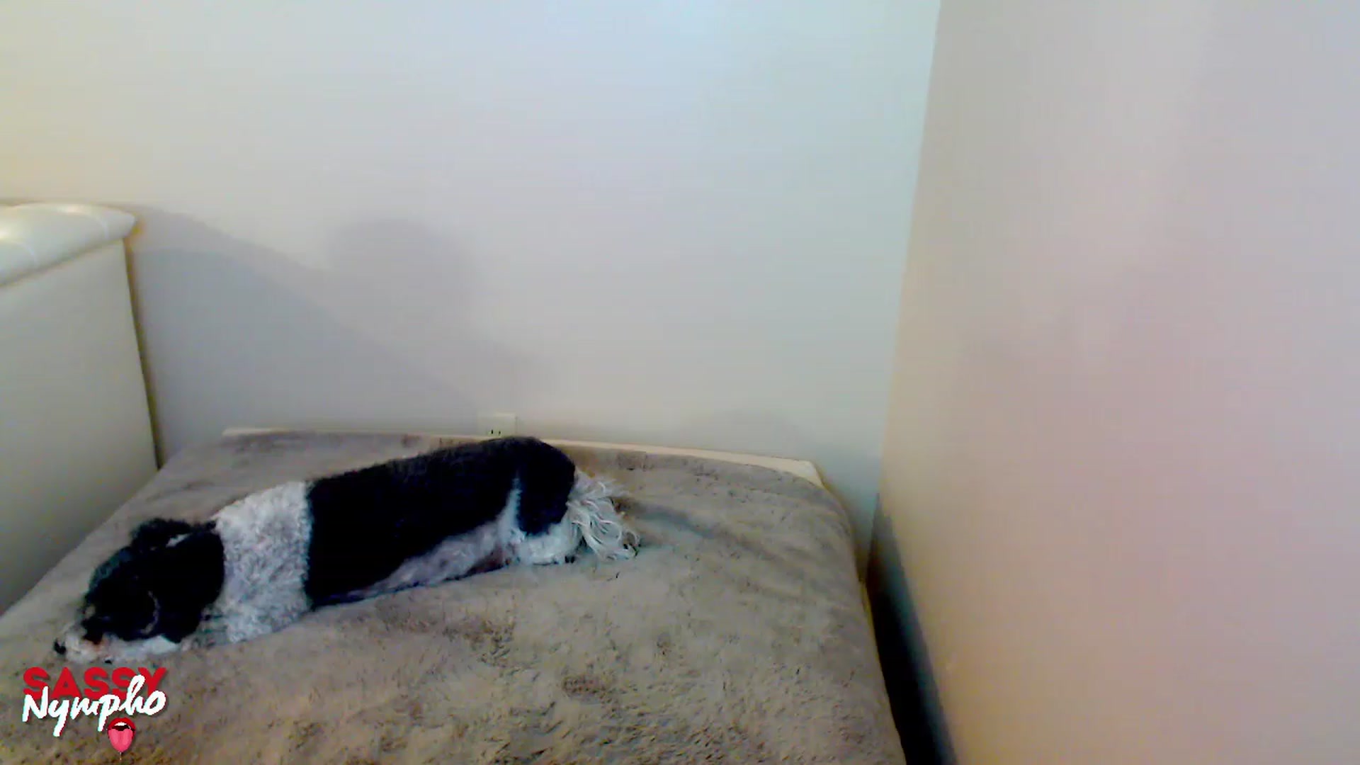 Gallery image thumbnail from Throat_GoatXx's myfreecams stream on, 05/07/2023, 08:51 image 14 of 20