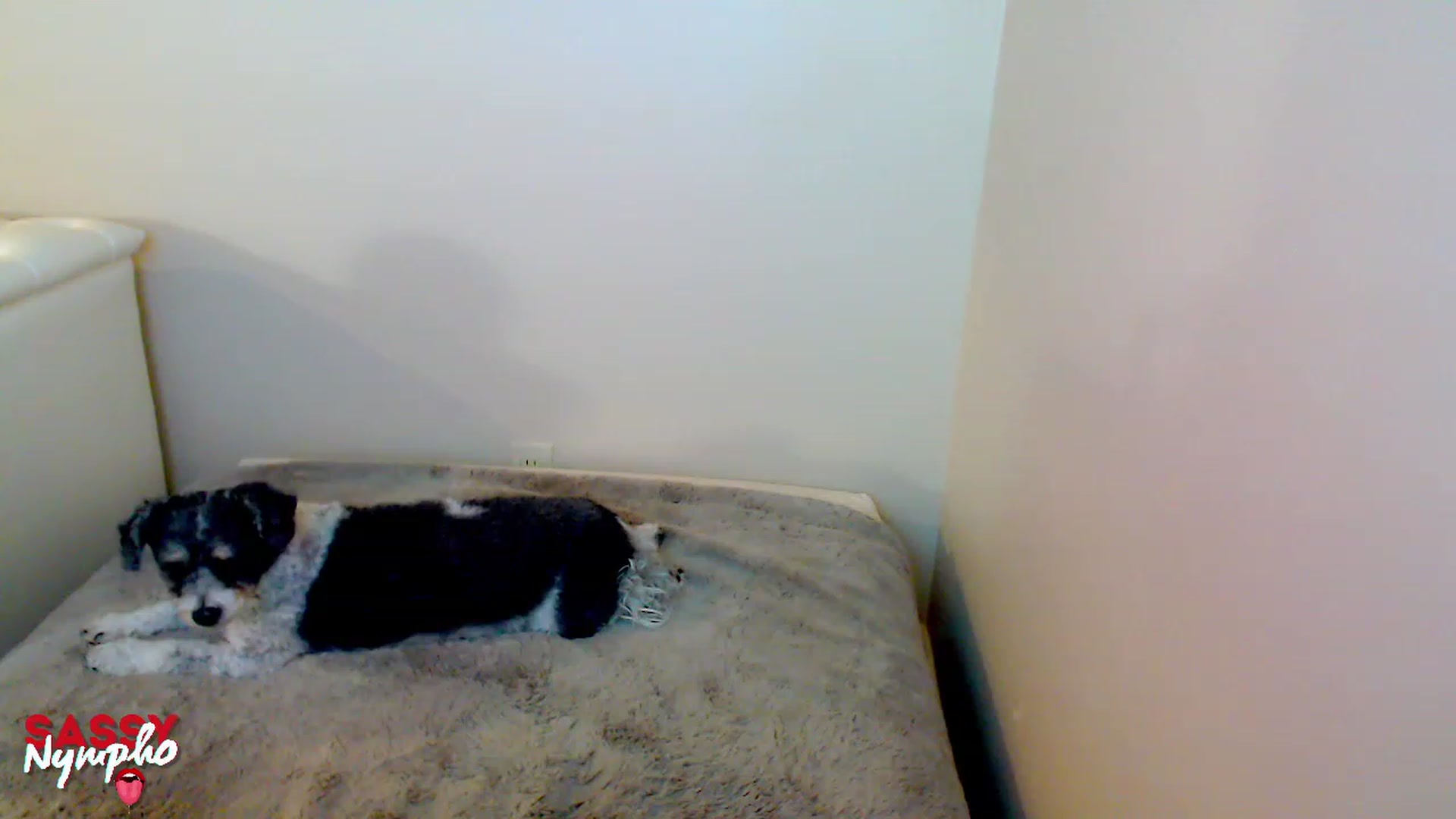 Gallery image thumbnail from Throat_GoatXx's myfreecams stream on, 05/07/2023, 08:51 image 15 of 20