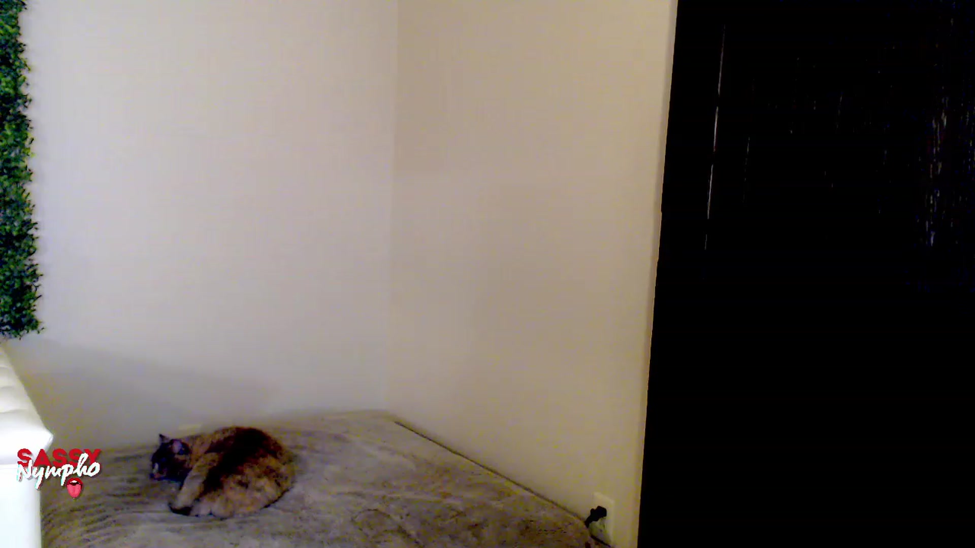 Gallery image thumbnail from Throat_GoatXx's myfreecams stream on, 05/13/2023, 10:57 image 19 of 20