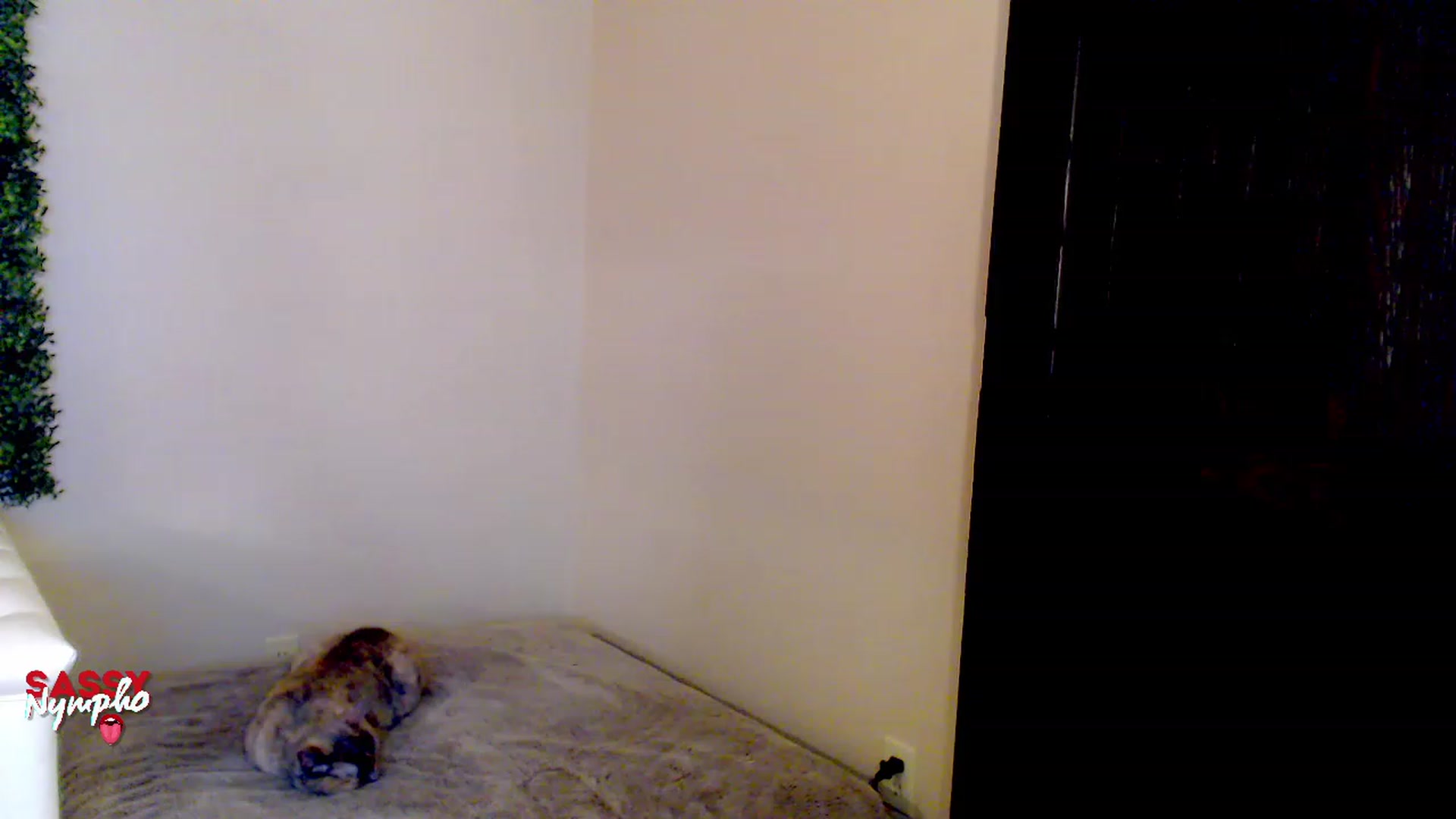 Gallery image thumbnail from Throat_GoatXx's myfreecams stream on, 05/13/2023, 10:57 image 13 of 20