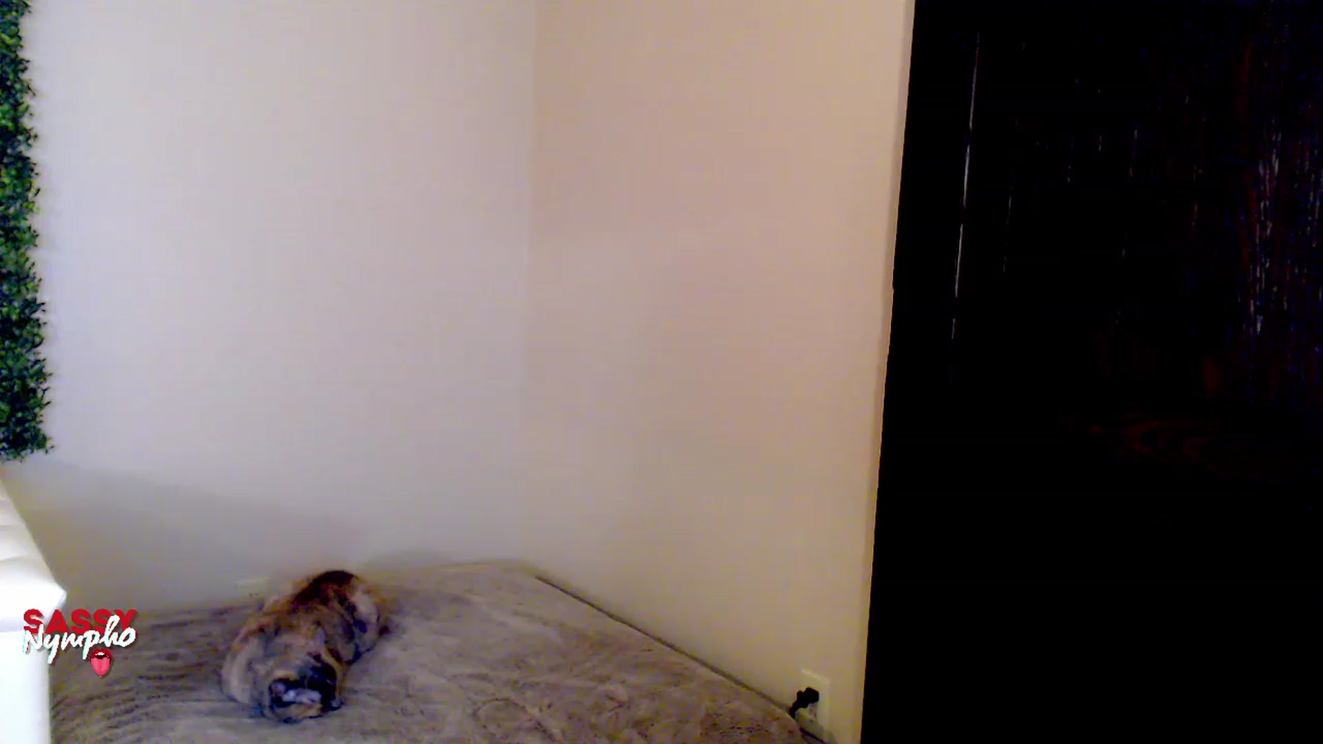 Gallery image thumbnail from Throat_GoatXx's myfreecams stream on, 05/13/2023, 10:57 image 9 of 20