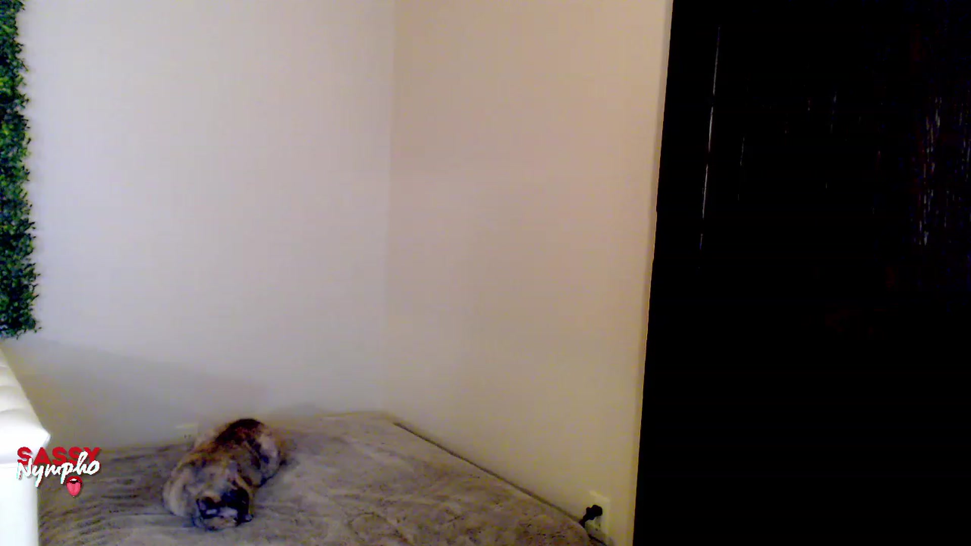 Gallery image thumbnail from Throat_GoatXx's myfreecams stream on, 05/13/2023, 10:57 image 10 of 20
