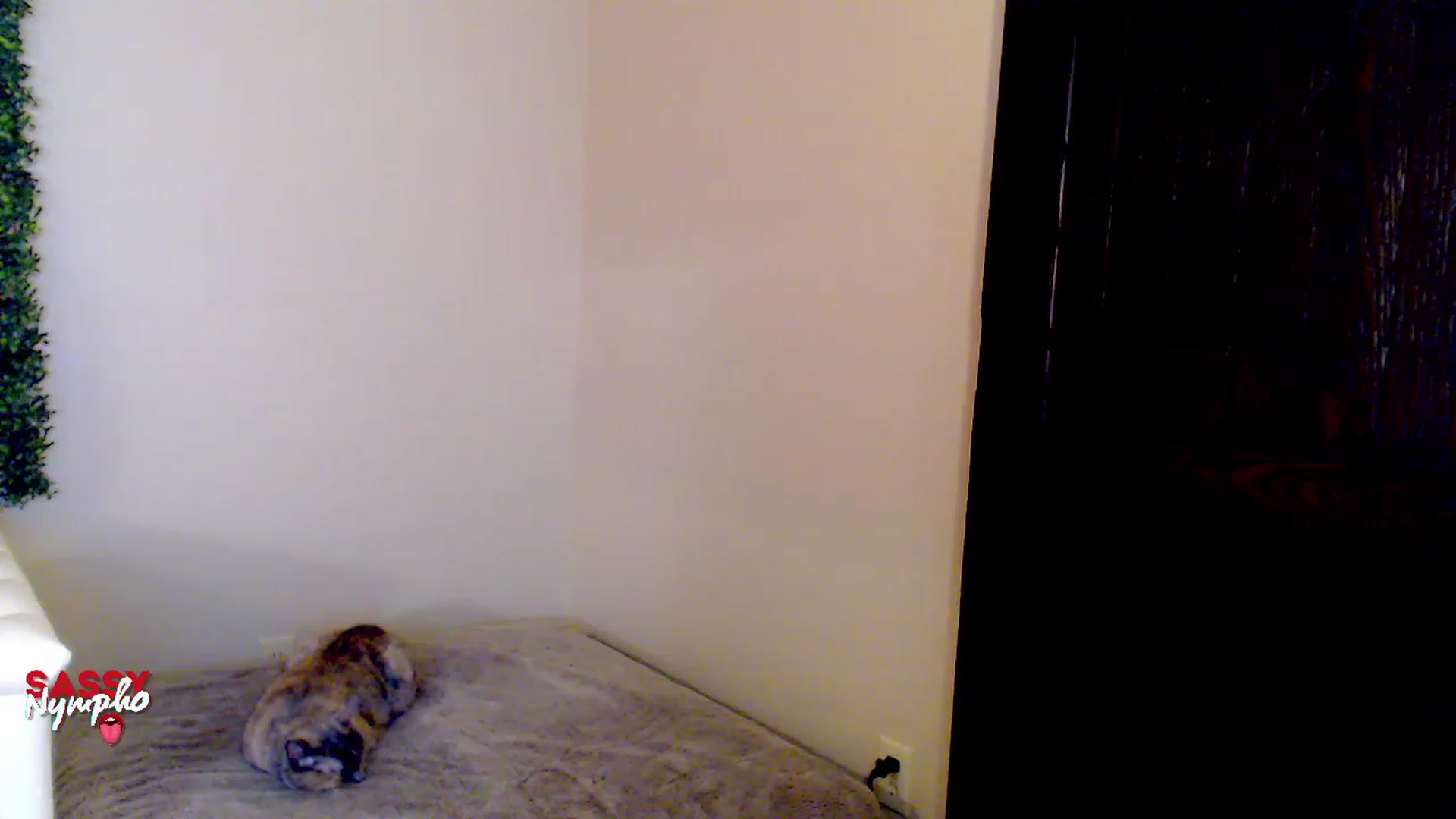 Gallery image thumbnail from Throat_GoatXx's myfreecams stream on, 05/13/2023, 10:57 image 2 of 20