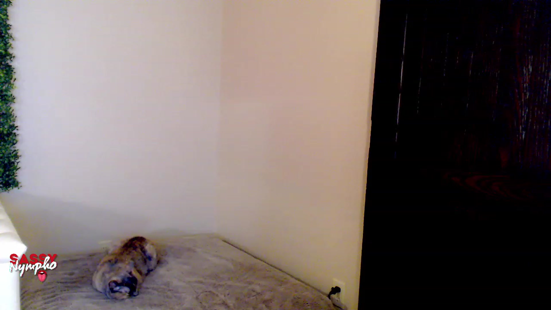 Gallery image thumbnail from Throat_GoatXx's myfreecams stream on, 05/13/2023, 10:57 image 1 of 20