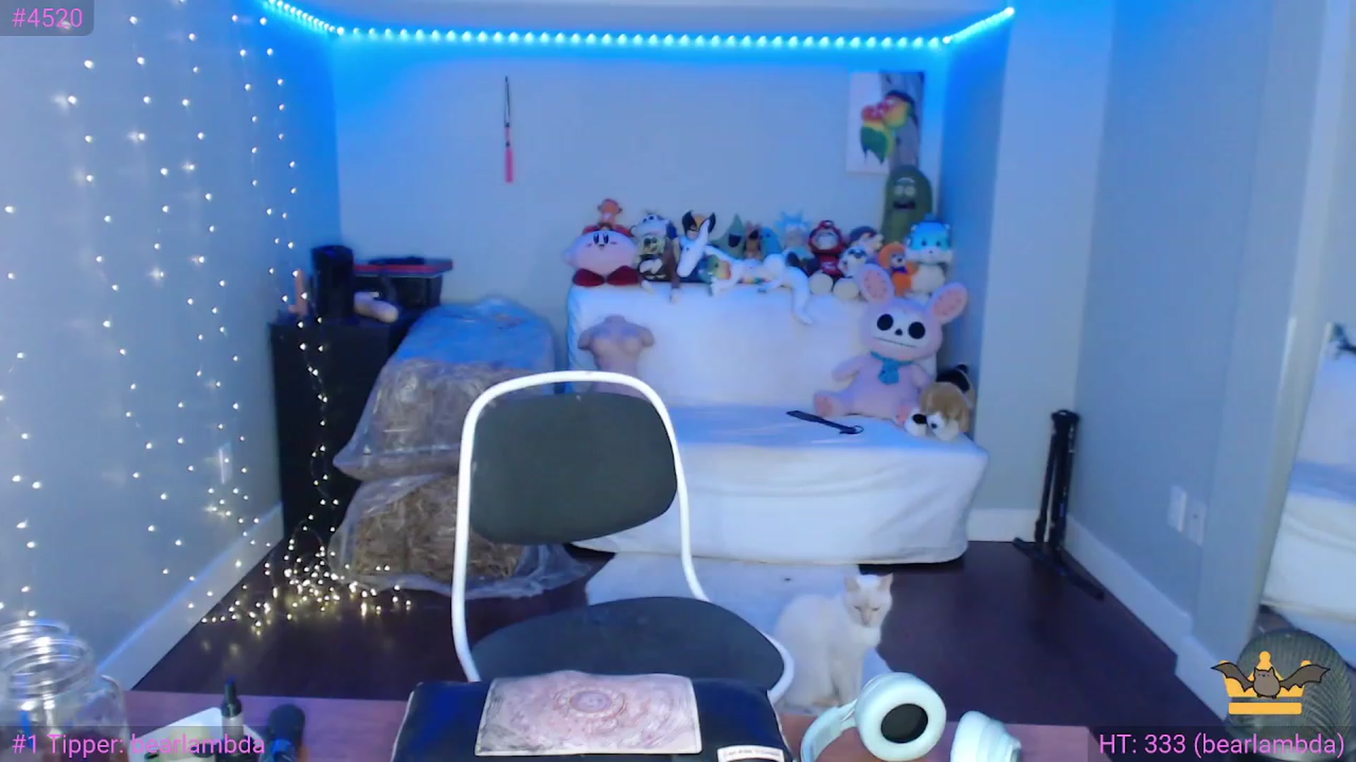 Gallery image thumbnail from TiaBeanie's myfreecams stream on, 11/16/2022, 01:44 image 11 of 20