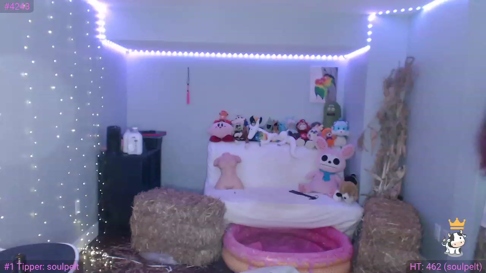 Gallery image thumbnail from TiaBeanie's myfreecams stream on, 11/20/2022, 04:52 image 16 of 20