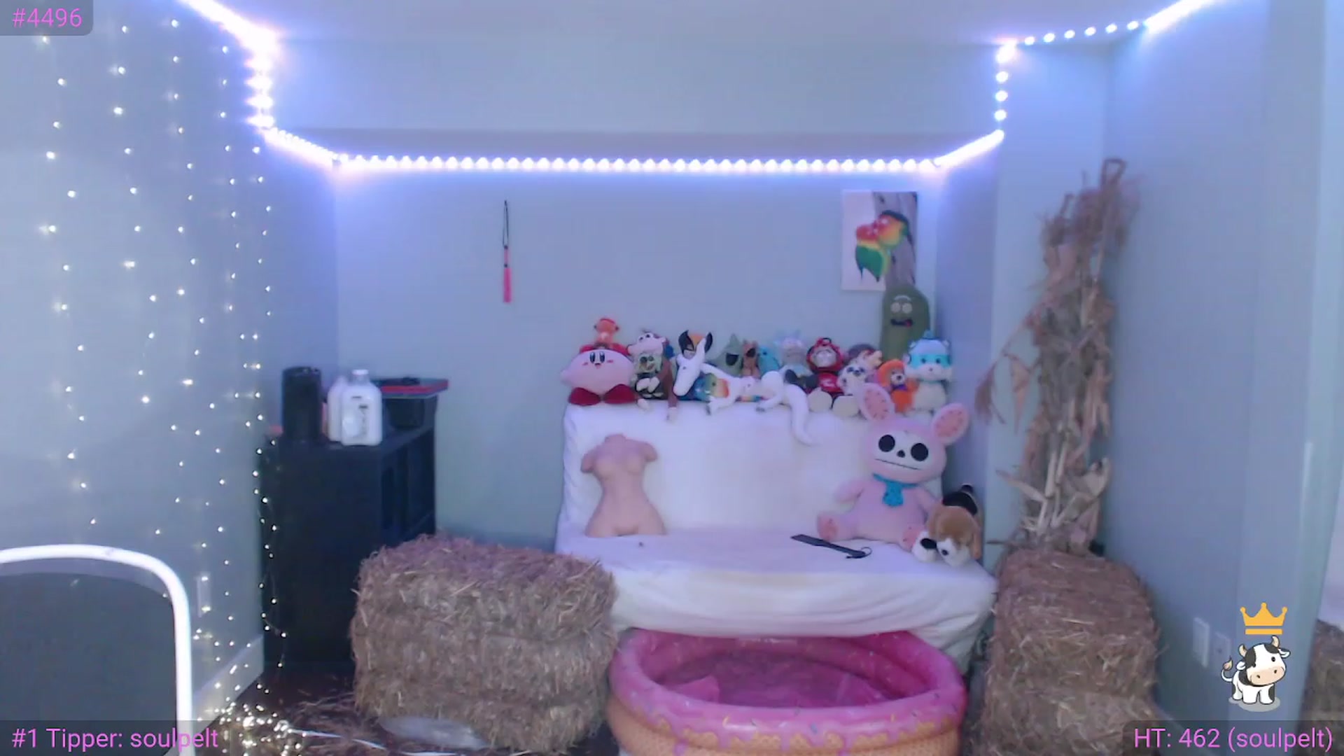 Gallery image thumbnail from TiaBeanie's myfreecams stream on, 11/20/2022, 04:52 image 10 of 20
