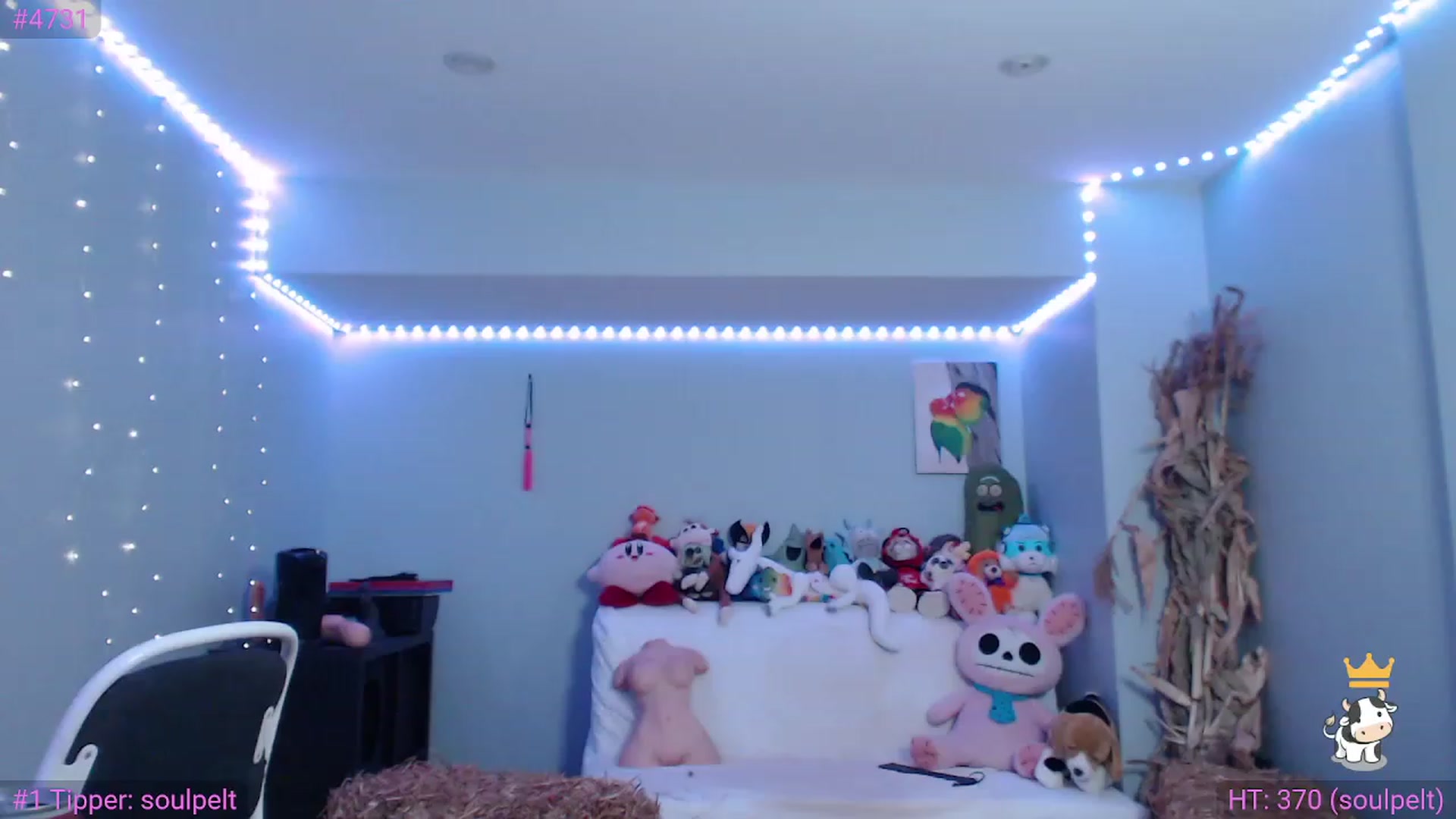Gallery image thumbnail from TiaBeanie's myfreecams stream on, 11/20/2022, 04:52 image 6 of 20