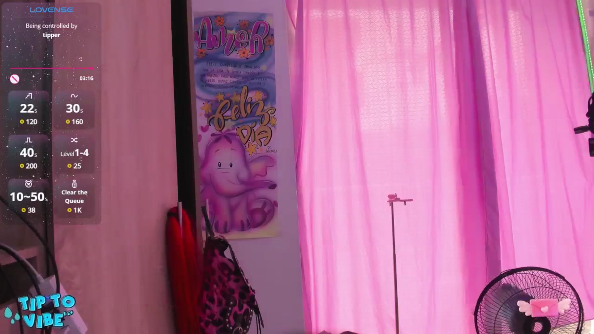 Gallery image thumbnail from Tifannys_ti's myfreecams stream on, 04/25/2025, 16:31 image 9 of 20