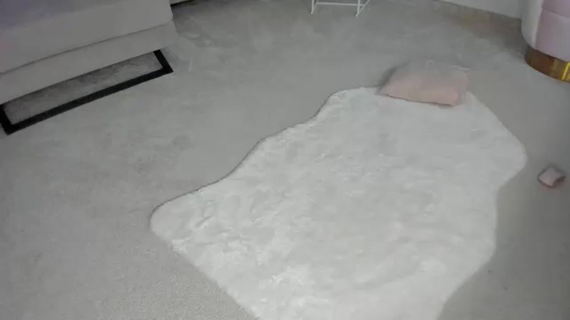 Gallery image thumbnail from Tiffany_H's myfreecams stream on, 06/12/2026, 09:50 image 4 of 20