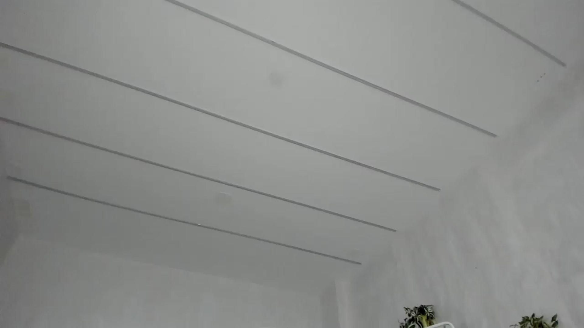 Gallery image thumbnail from Tiffany_H's myfreecams stream on, 08/13/2026, 11:29 image 1 of 20