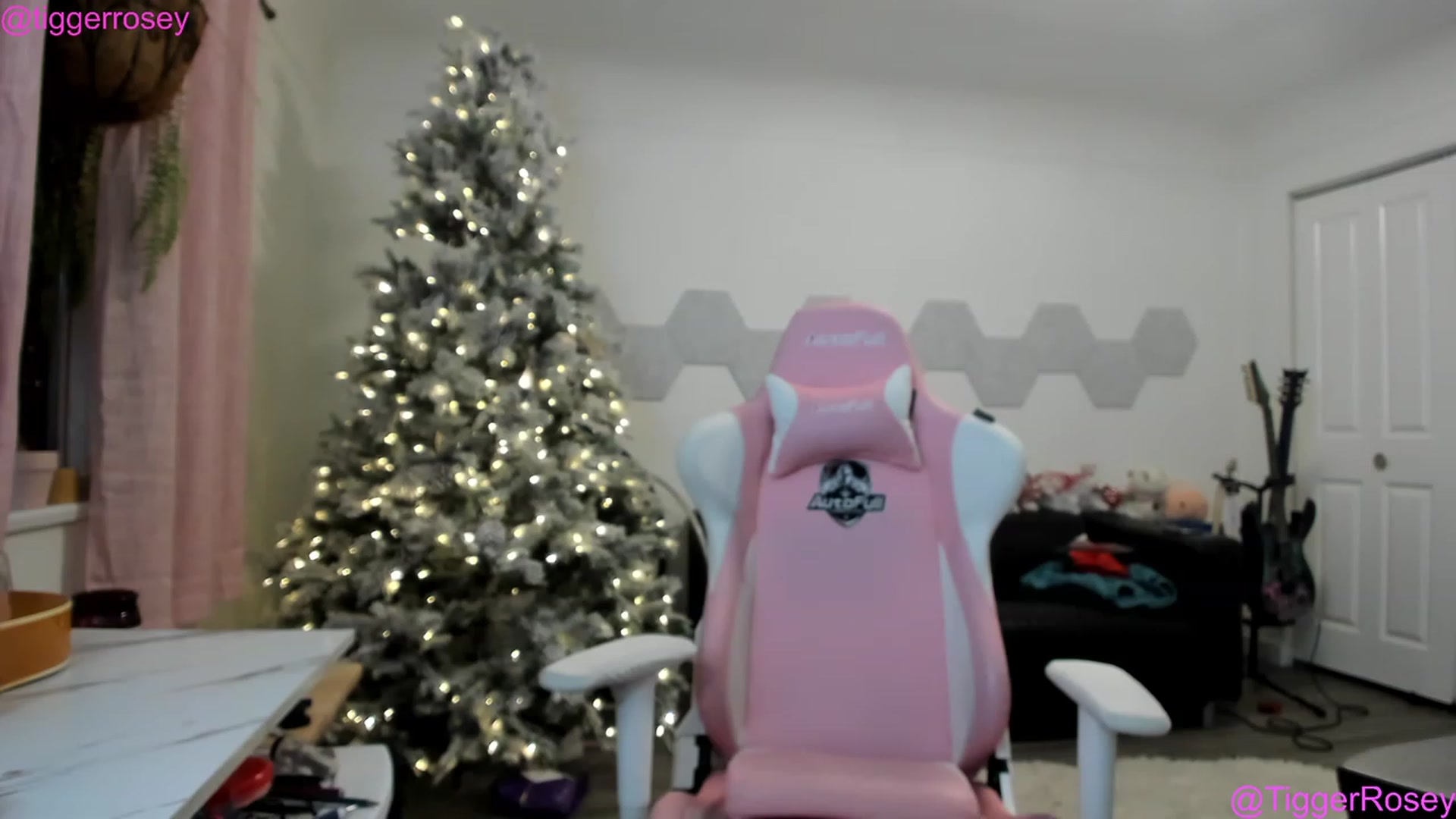 Gallery image thumbnail from TiggerRosey's myfreecams stream on, 12/26/2022, 02:03 image 19 of 20