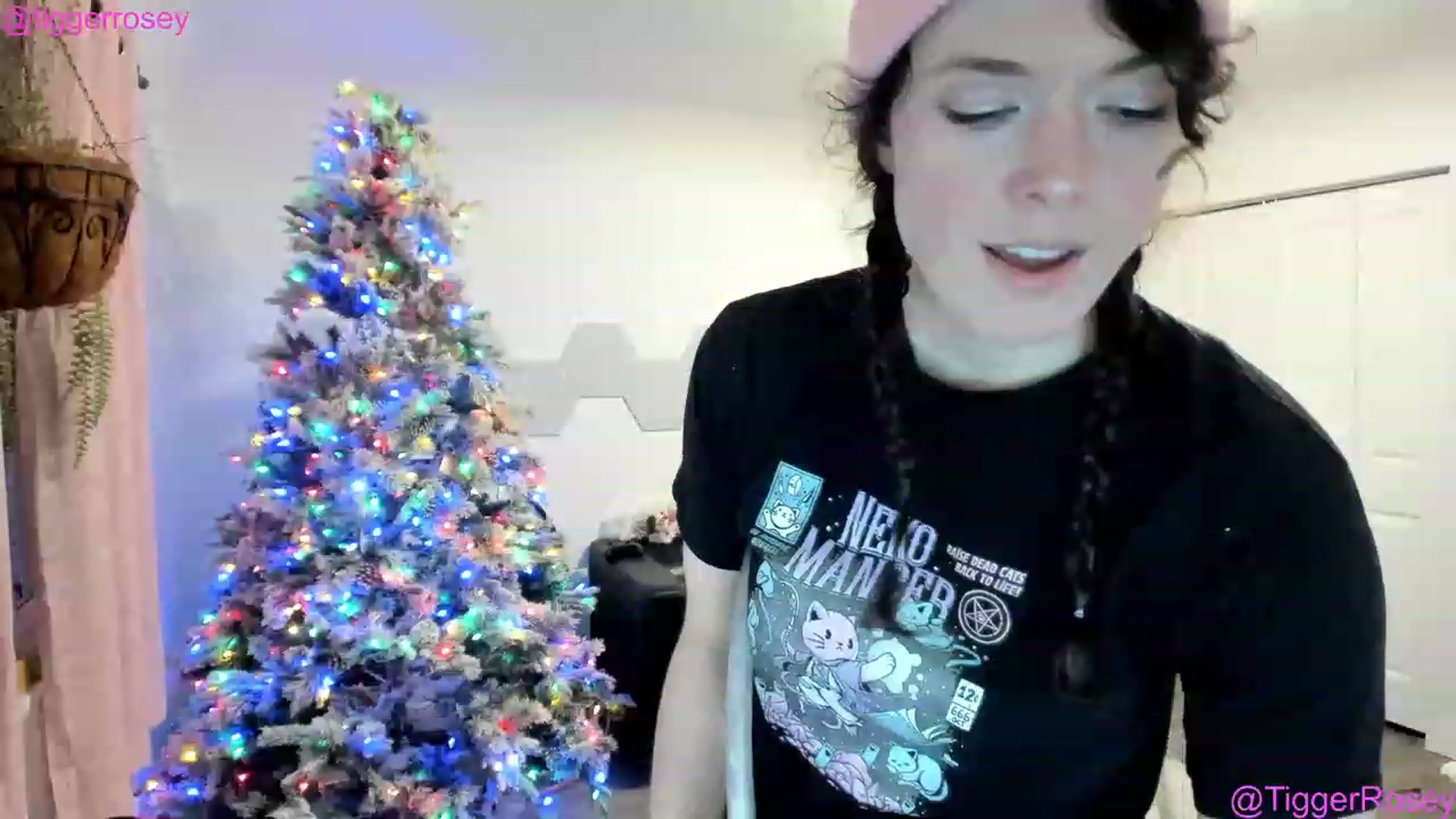 Gallery image thumbnail from TiggerRosey's myfreecams stream on, 12/27/2022, 02:22 image 12 of 20
