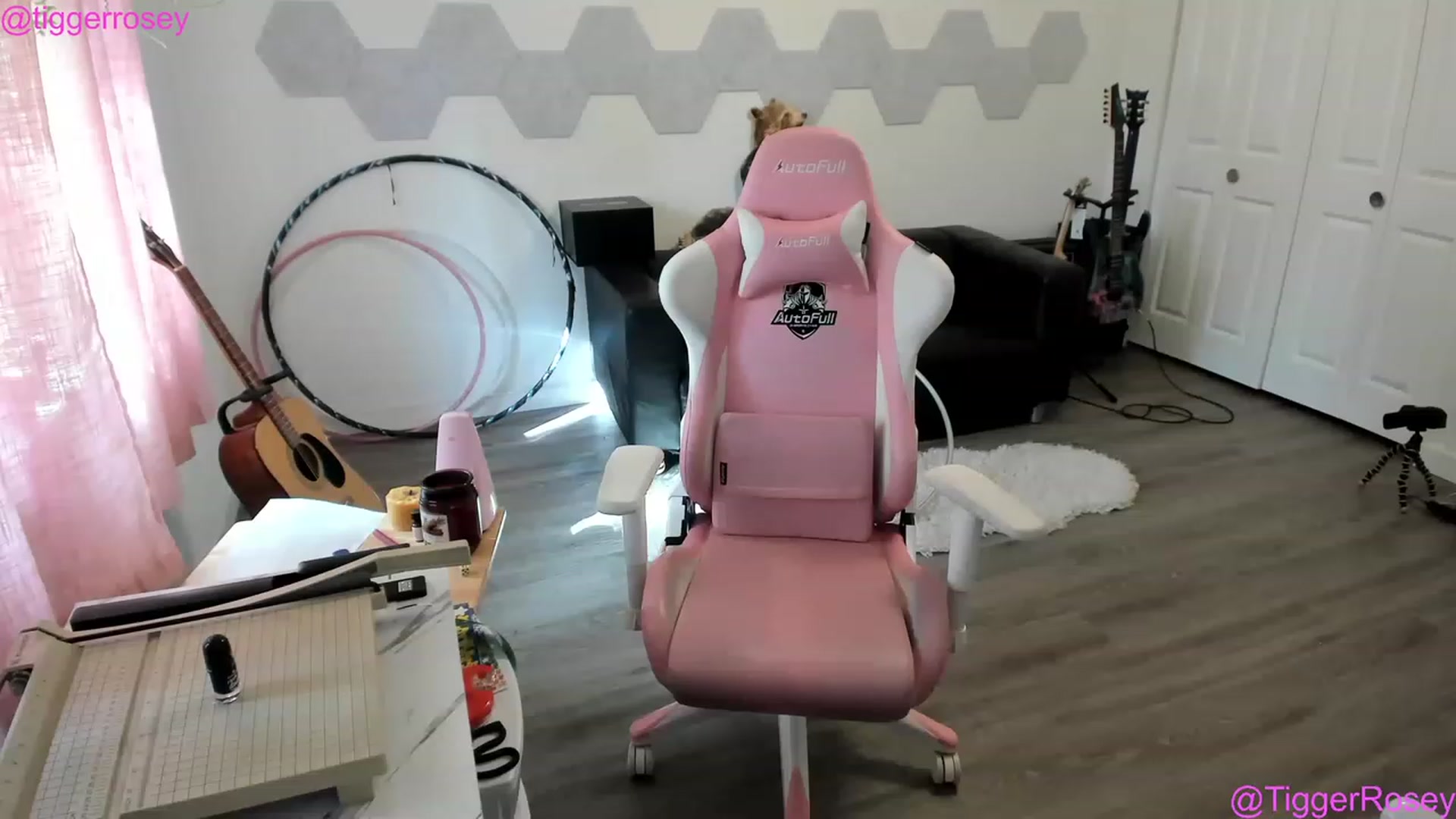 Gallery image thumbnail from TiggerRosey's myfreecams stream on, 05/31/2023, 24:28 image 20 of 20
