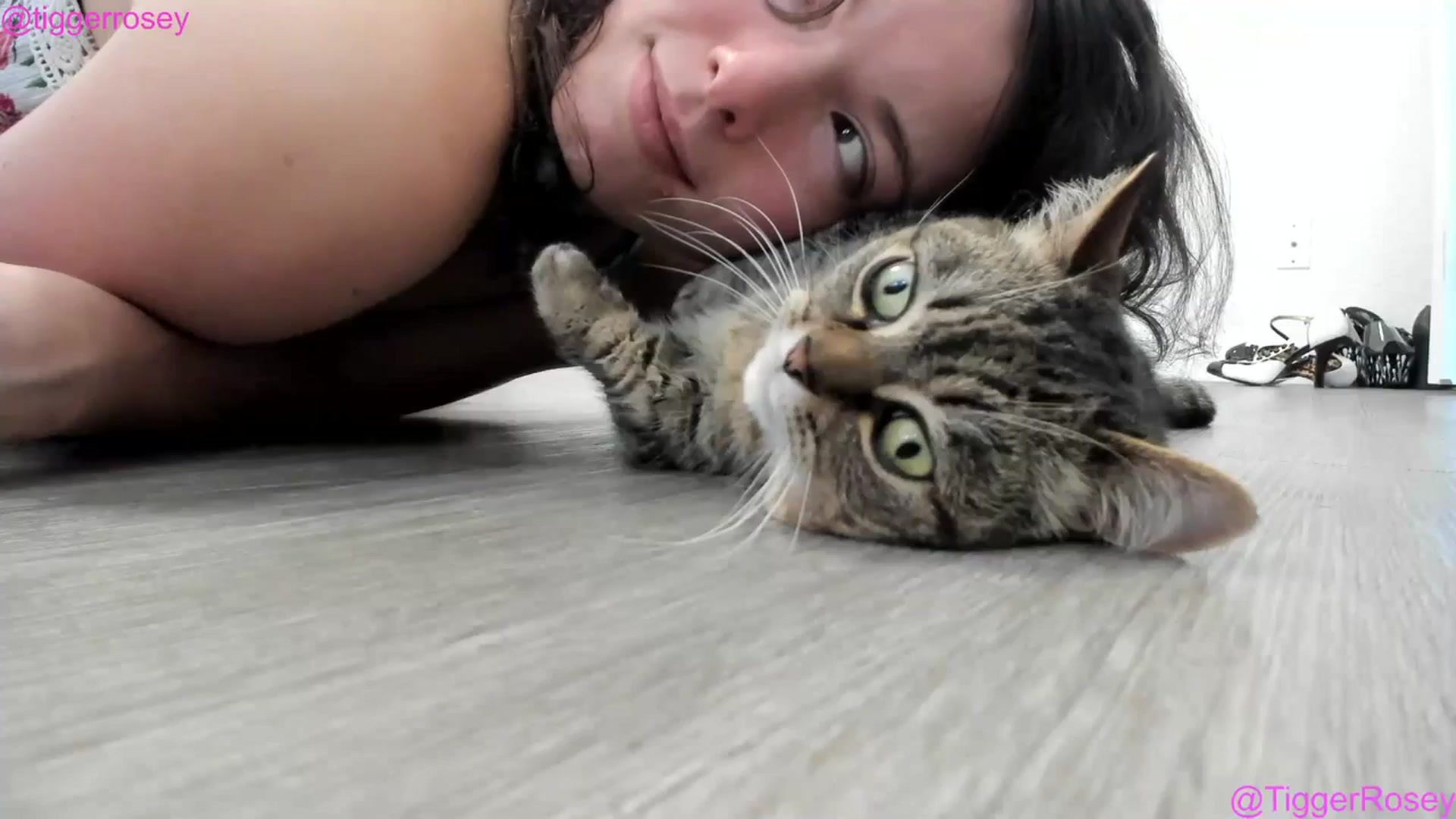 Gallery image thumbnail from TiggerRosey's myfreecams stream on, 07/14/2023, 24:11 image 1 of 20