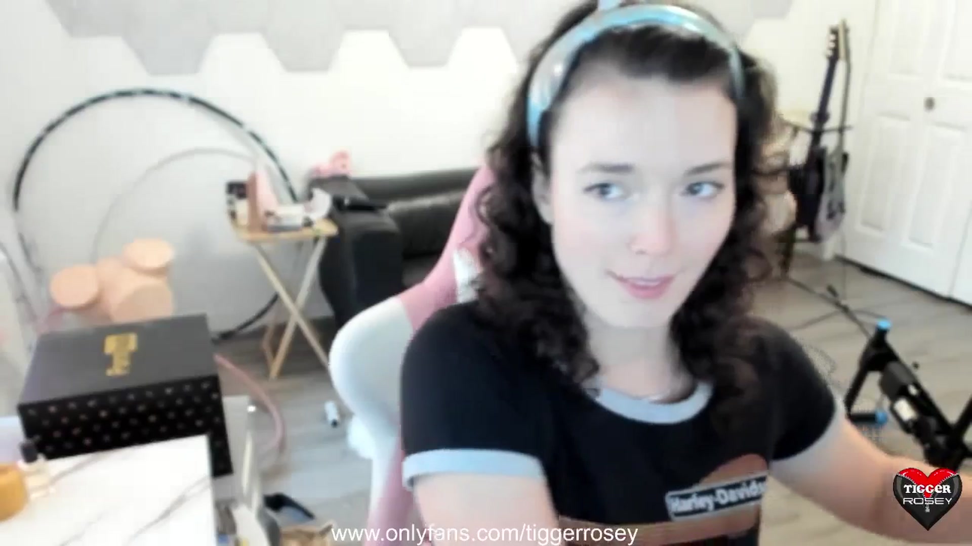 Gallery image thumbnail from TiggerRosey's myfreecams stream on, 08/24/2023, 20:52 image 17 of 20