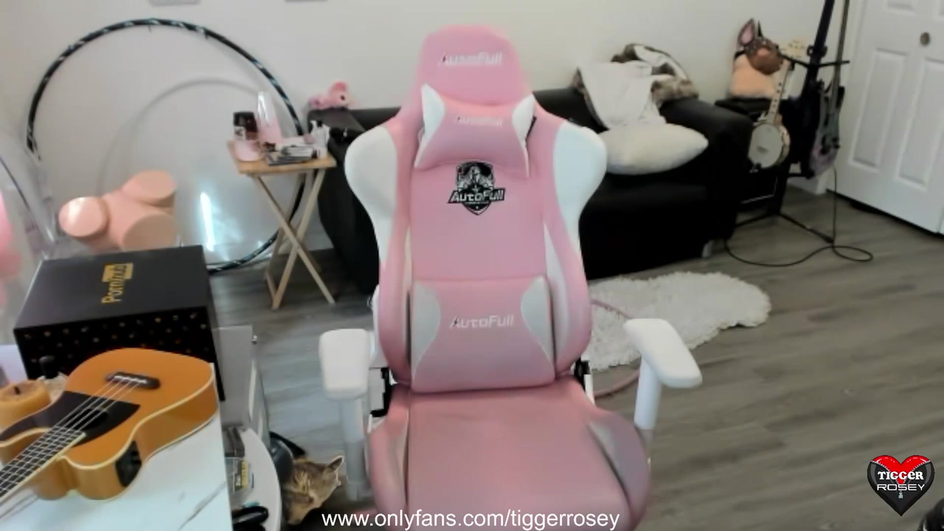 Gallery image thumbnail from TiggerRosey's myfreecams stream on, 08/26/2023, 24:55 image 5 of 20