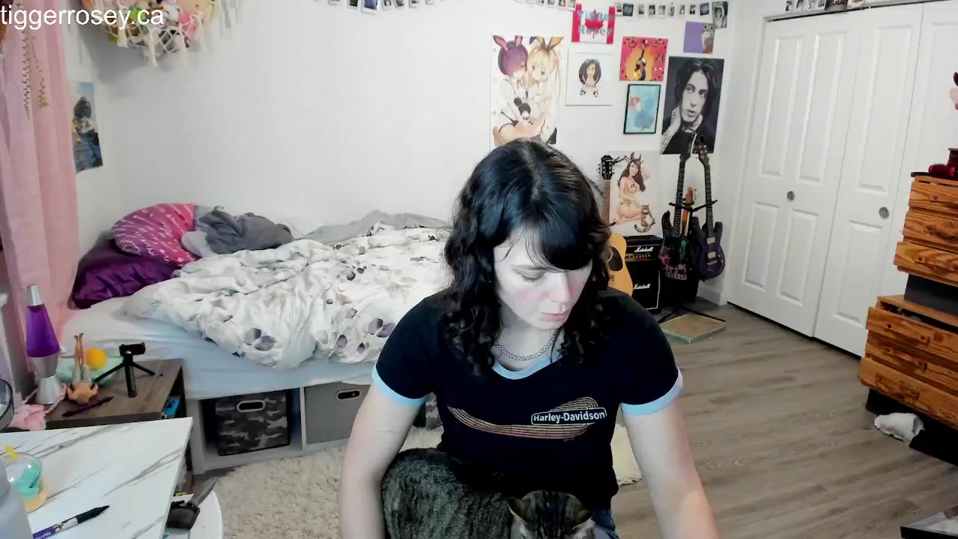 Gallery image thumbnail from TiggerRosey's myfreecams stream on, 03/07/2024, 04:48 image 12 of 20