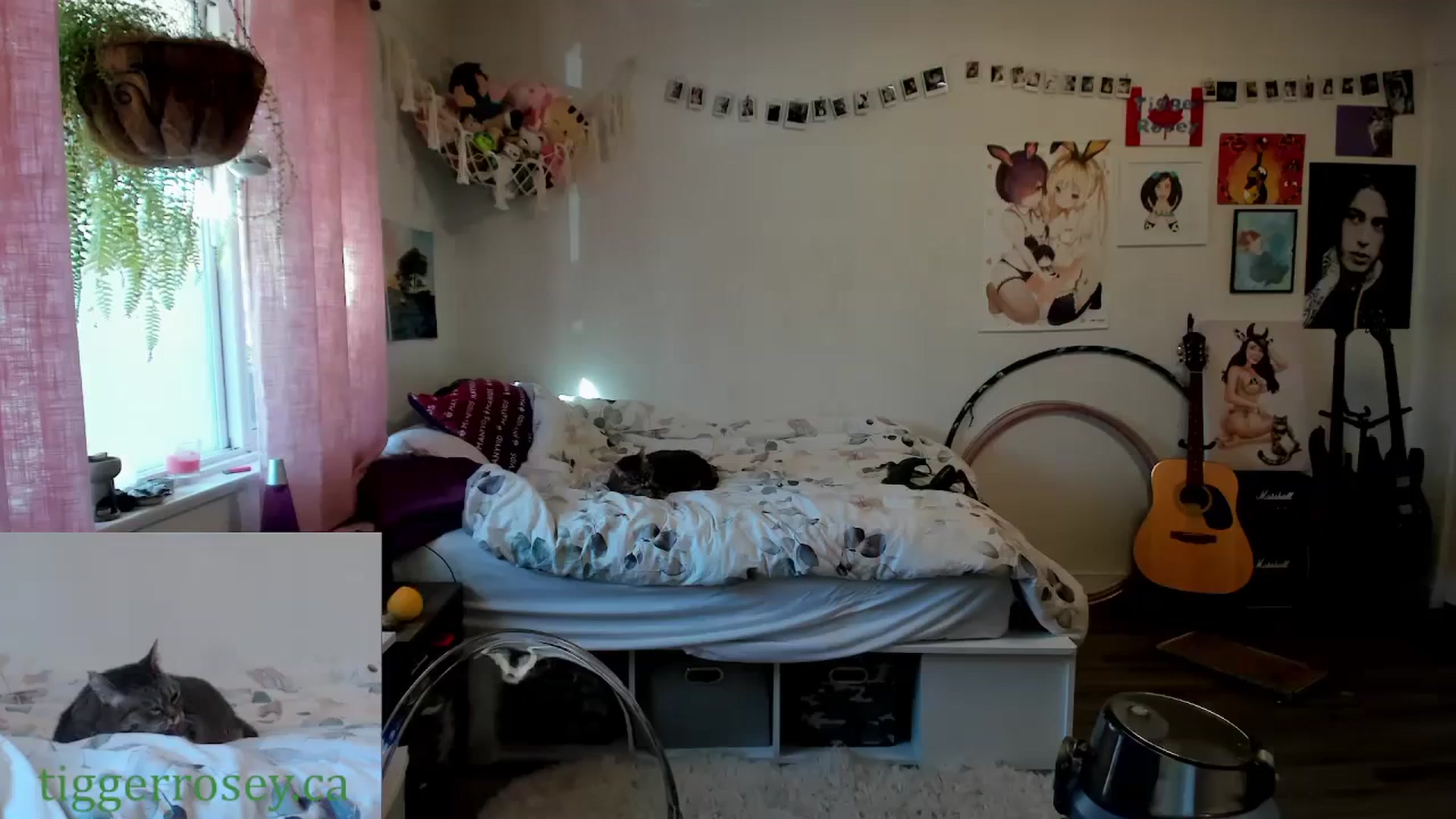 Gallery image thumbnail from TiggerRosey's myfreecams stream on, 03/16/2024, 24:03 image 18 of 20