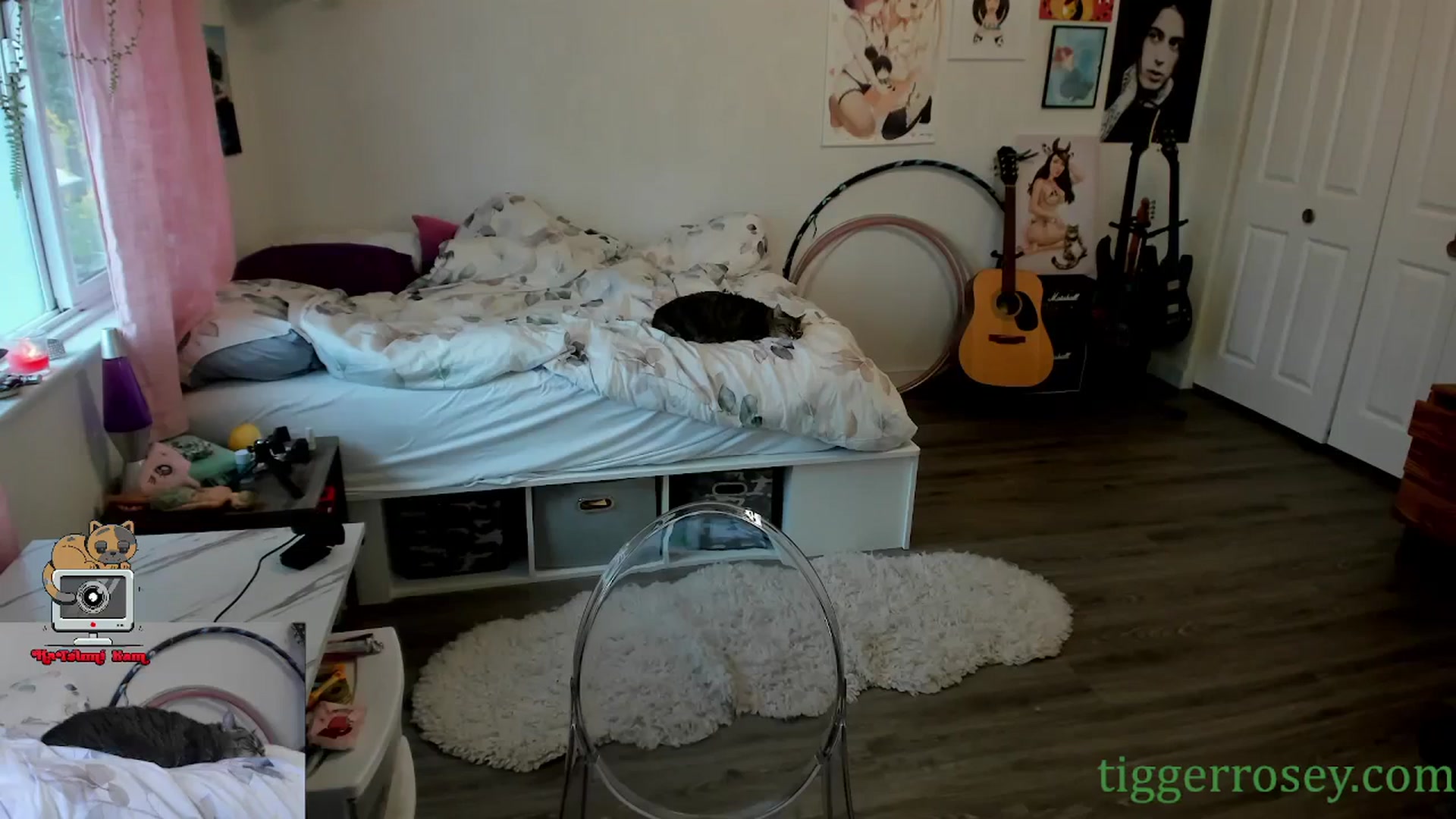 Gallery image thumbnail from TiggerRosey's myfreecams stream on, 03/21/2024, 23:55 image 18 of 20