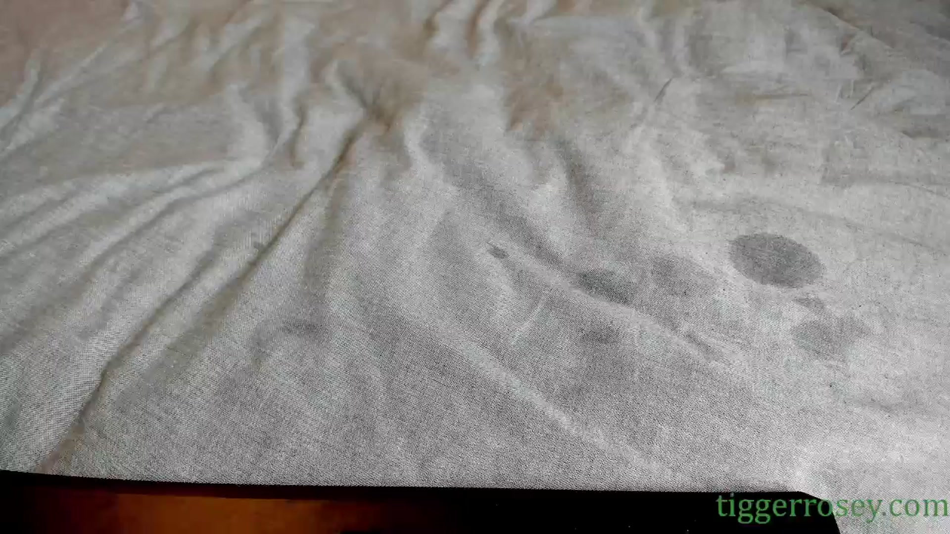 Gallery image thumbnail from TiggerRosey's myfreecams stream on, 04/12/2024, 19:03 image 12 of 20