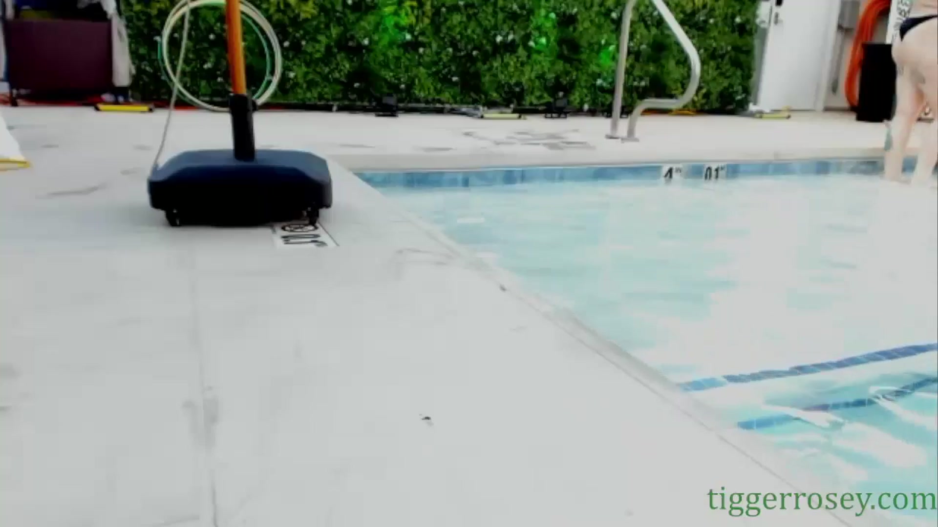 Gallery image thumbnail from TiggerRosey's myfreecams stream on, 05/23/2024, 24:02 image 18 of 20