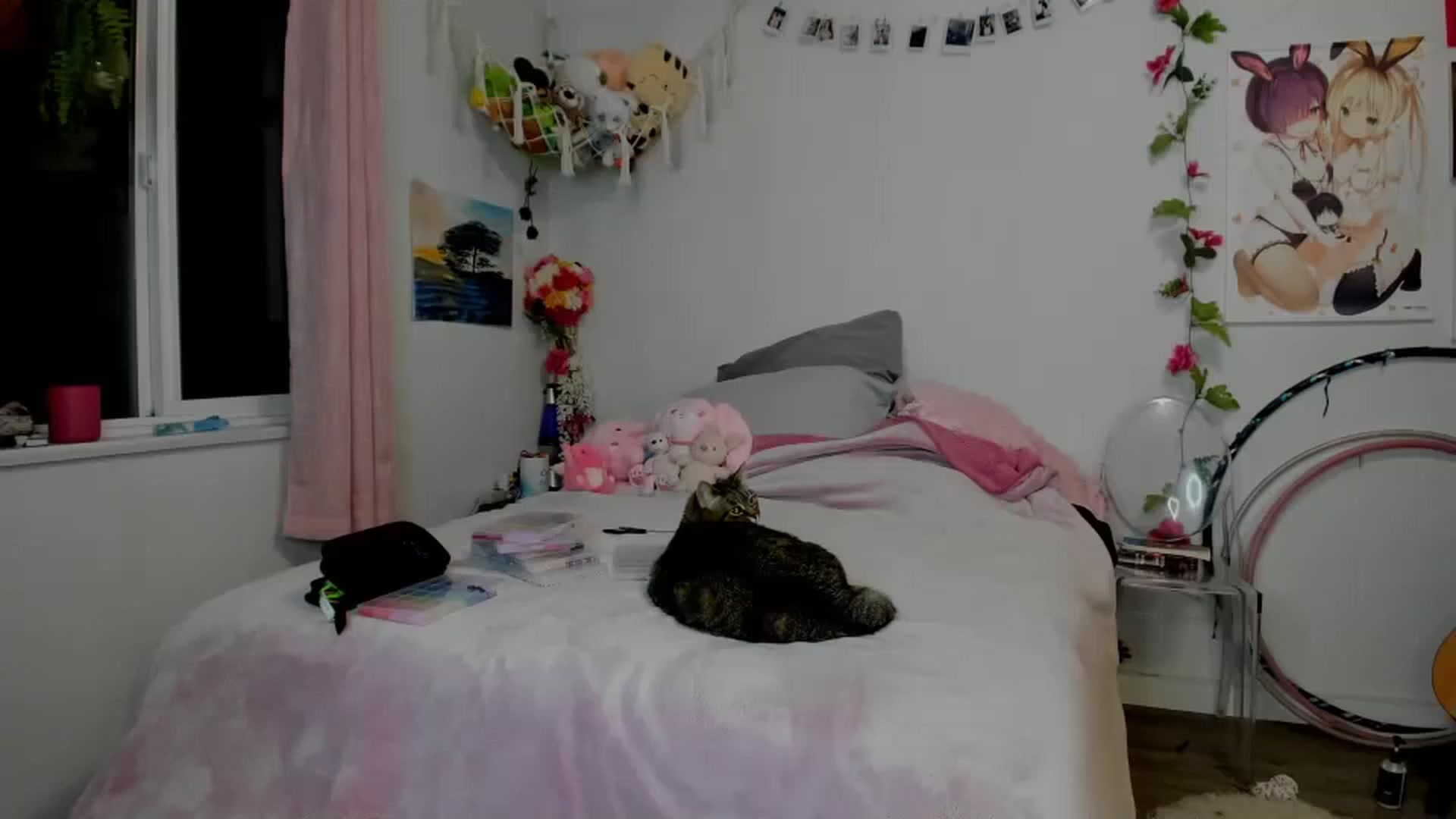 Gallery image thumbnail from TiggerRosey's myfreecams stream on, 12/25/2024, 07:21 image 15 of 20