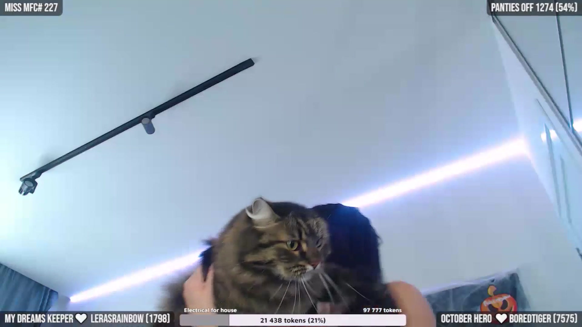 Gallery image thumbnail from TighttAss's myfreecams stream on, 10/18/2023, 05:25 image 2 of 20
