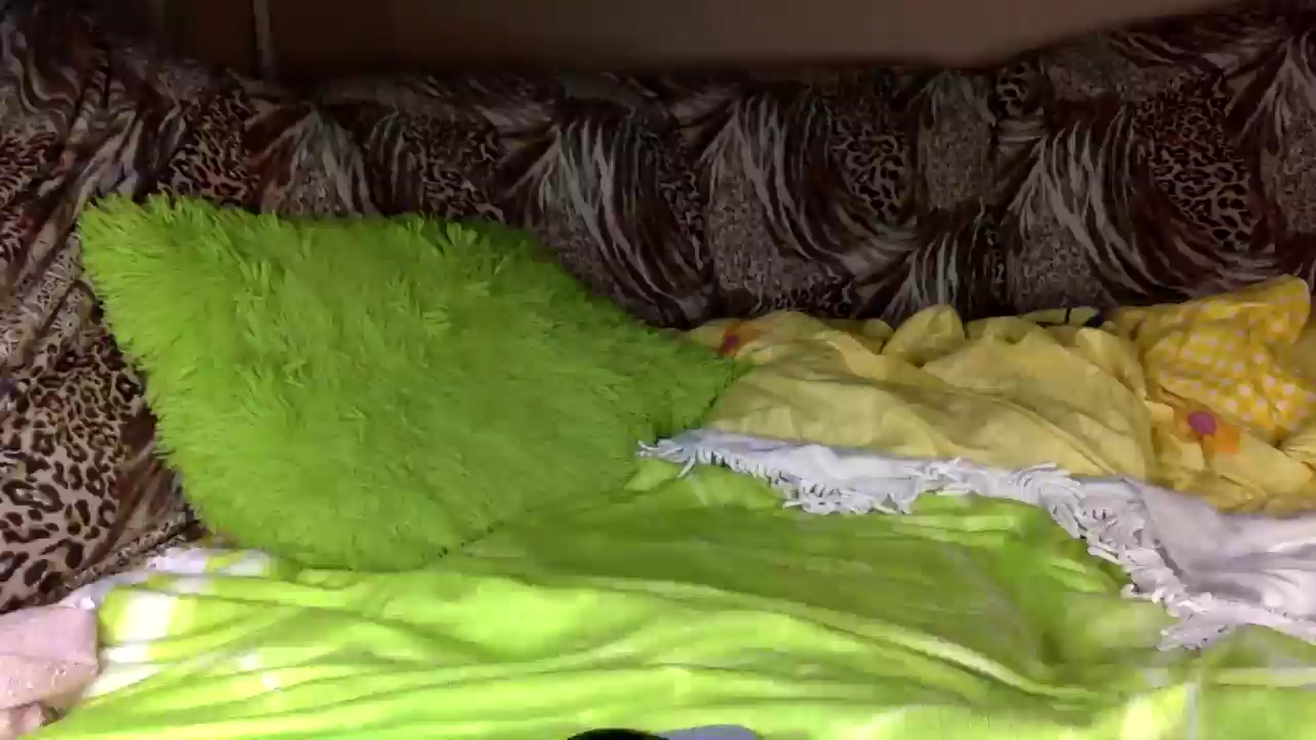 Gallery image thumbnail from Tilly_Casti's myfreecams stream on, 01/15/2025, 16:34 image 11 of 20