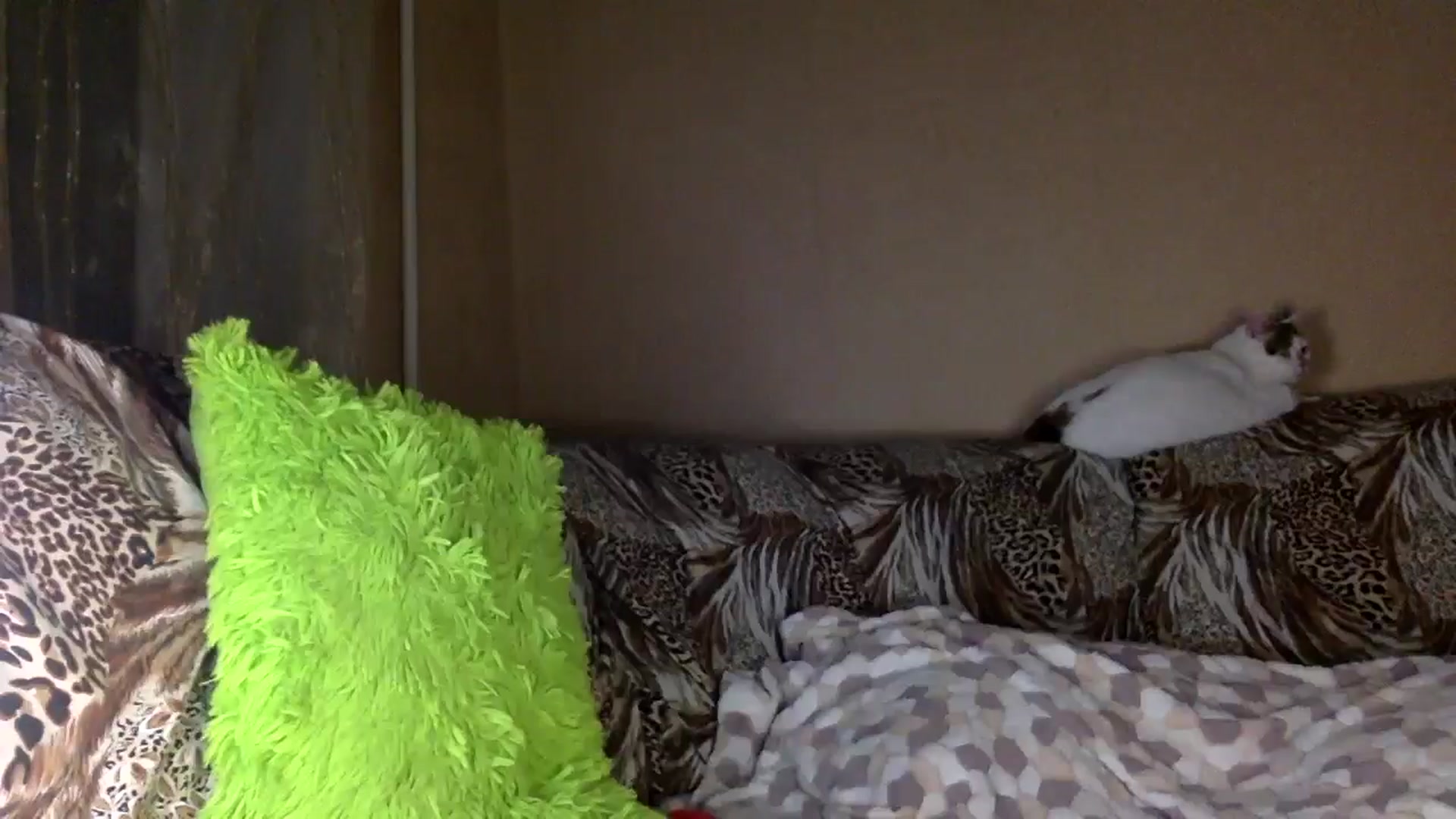 Gallery image thumbnail from Tilly_Casti's myfreecams stream on, 01/23/2025, 17:32 image 5 of 20