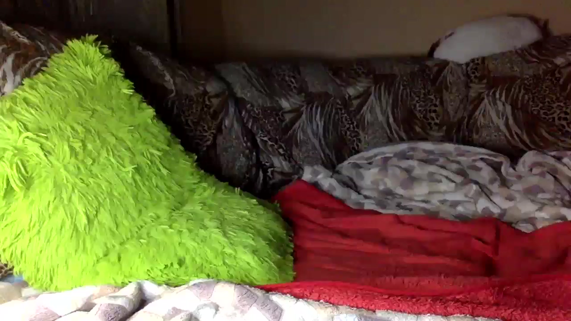 Gallery image thumbnail from Tilly_Casti's myfreecams stream on, 01/25/2025, 15:50 image 16 of 20