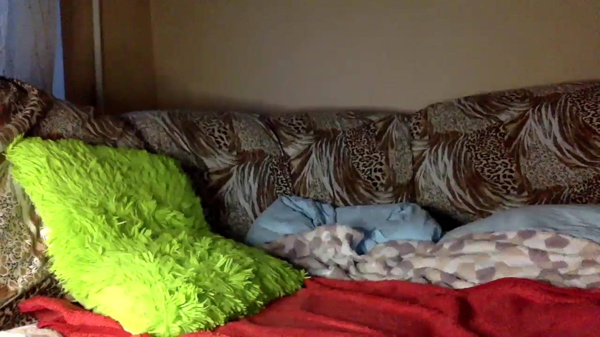 Gallery image thumbnail from Tilly_Casti's myfreecams stream on, 01/26/2025, 15:48 image 6 of 20