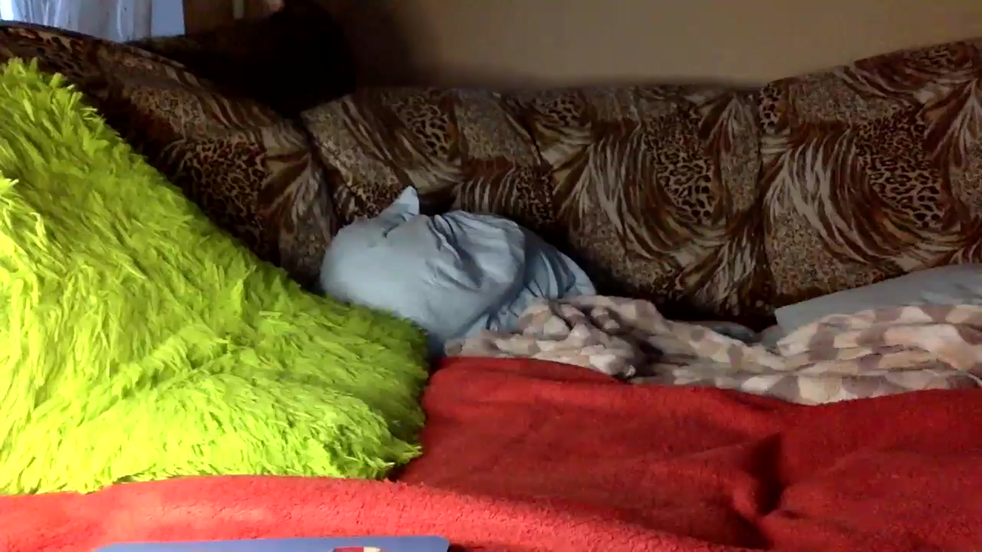 Gallery image thumbnail from Tilly_Casti's myfreecams stream on, 01/27/2025, 15:16 image 10 of 20