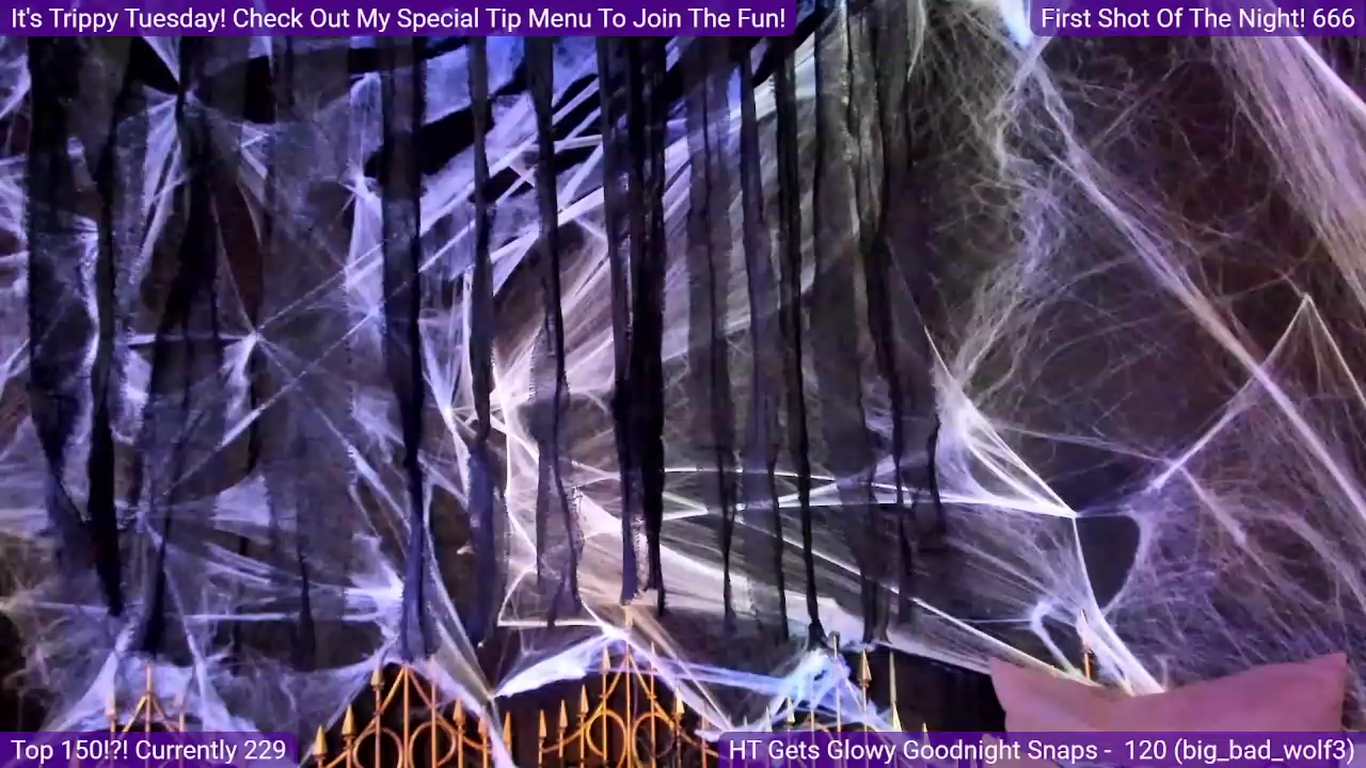 Gallery image thumbnail from TinaHale's myfreecams stream on, 10/18/2023, 07:17 image 2 of 20