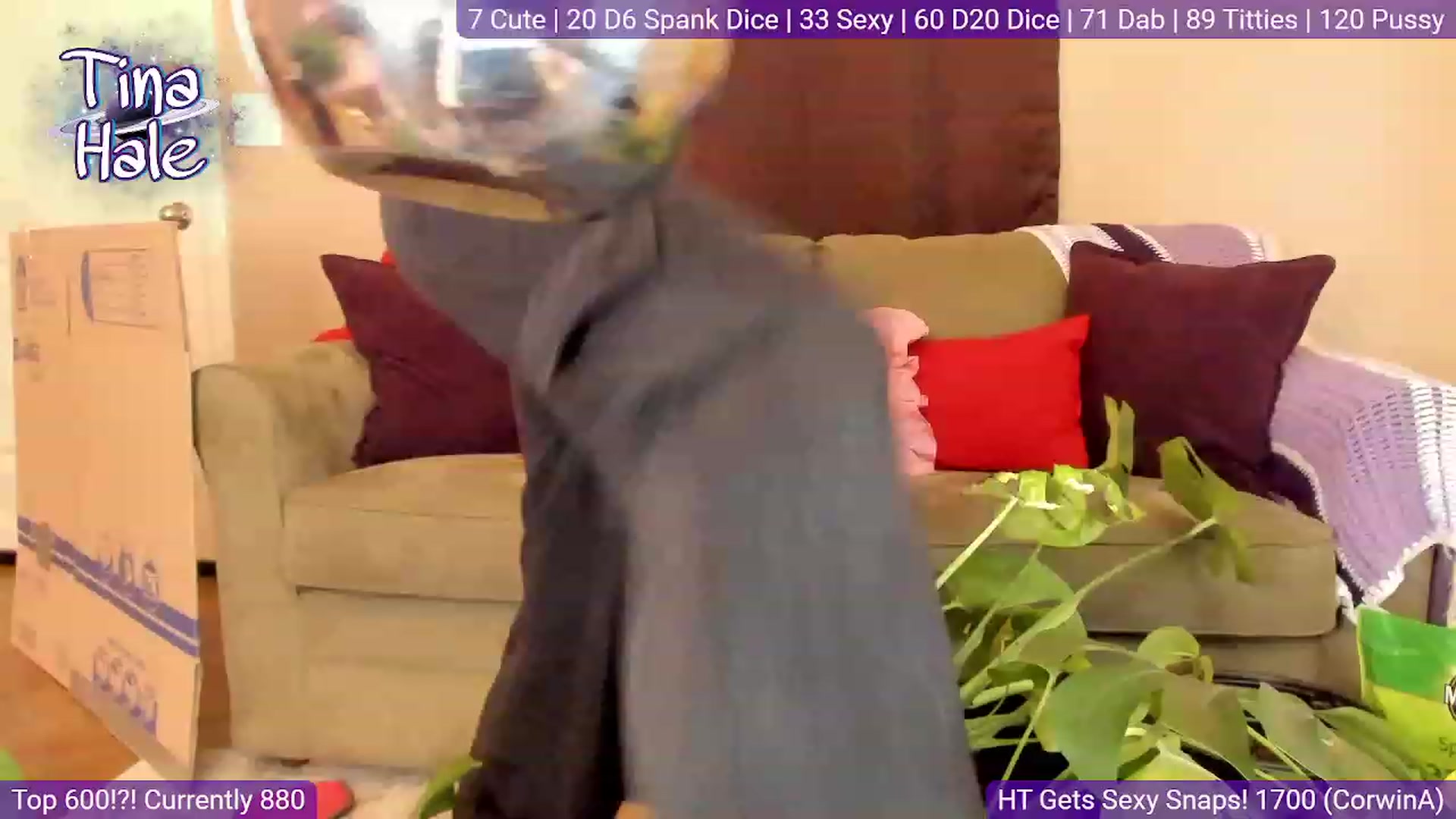 Gallery image thumbnail from TinaHale's myfreecams stream on, 01/08/2024, 24:45 image 3 of 20