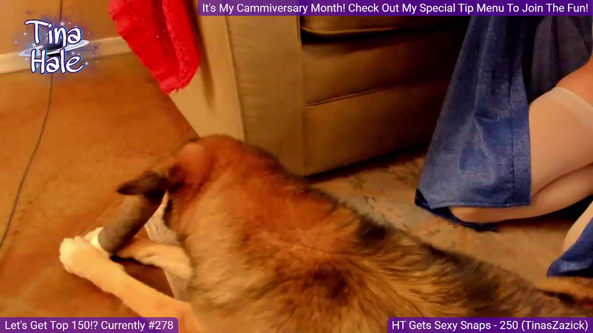 Gallery image thumbnail from TinaHale's myfreecams stream on, 03/03/2024, 06:41 image 8 of 20