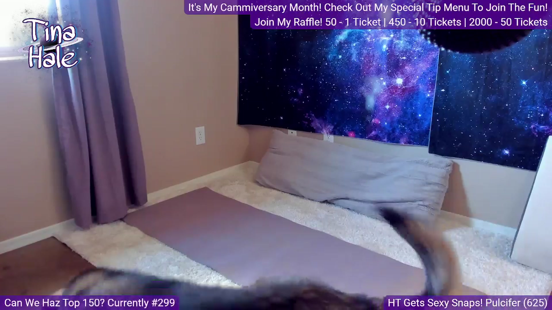 Gallery image thumbnail from TinaHale's myfreecams stream on, 03/24/2024, 22:09 image 14 of 20