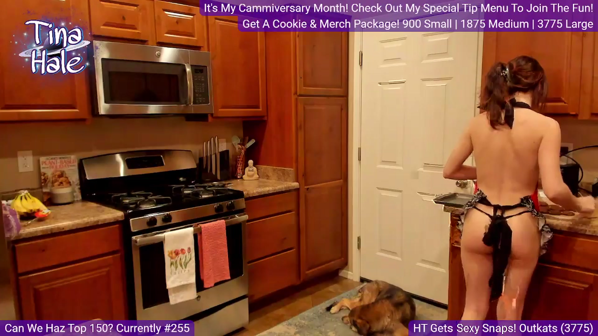 Gallery image thumbnail from TinaHale's myfreecams stream on, 03/25/2024, 07:03 image 13 of 20