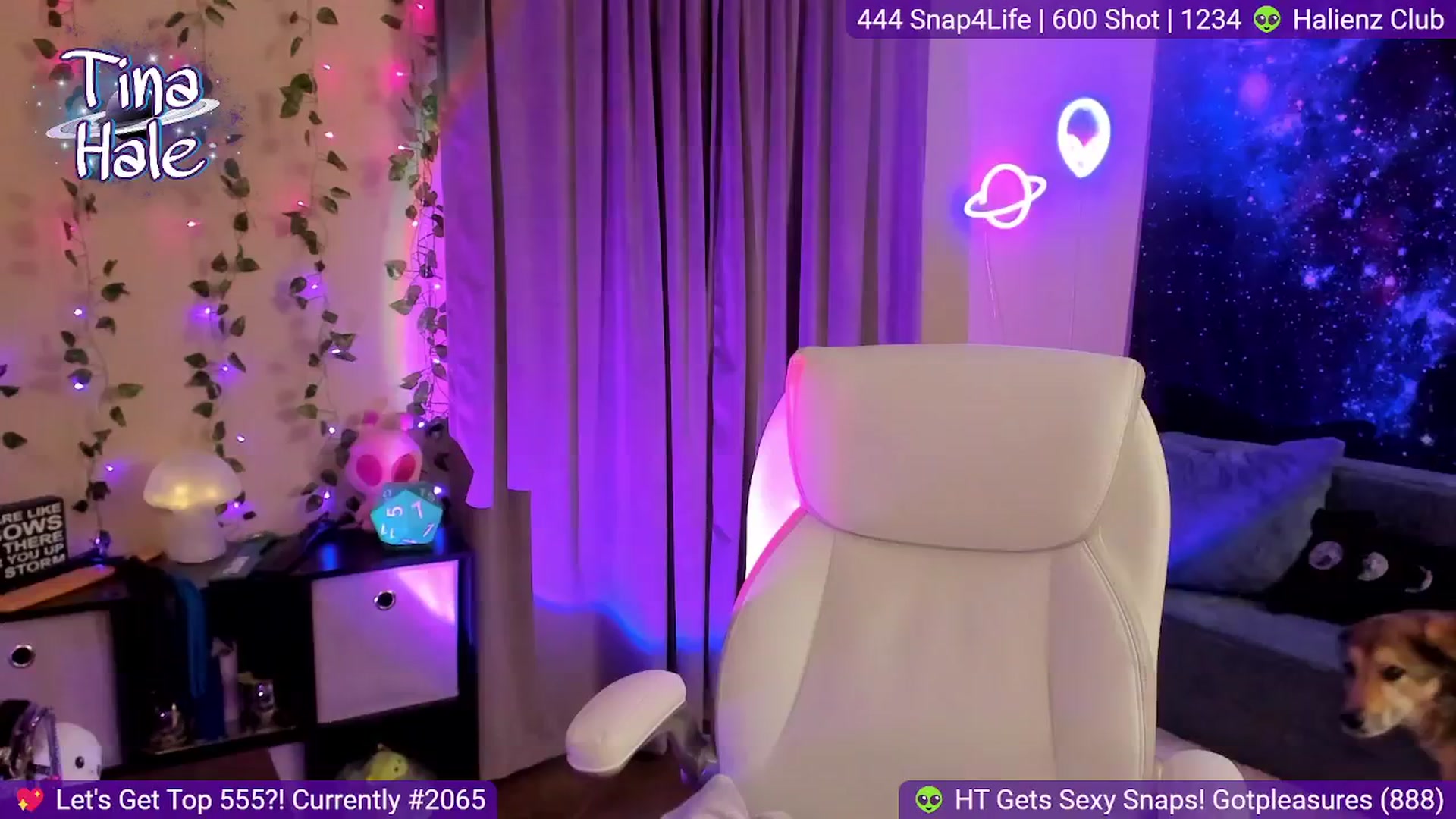 Gallery image thumbnail from TinaHale's myfreecams stream on, 08/04/2024, 05:39 image 8 of 20