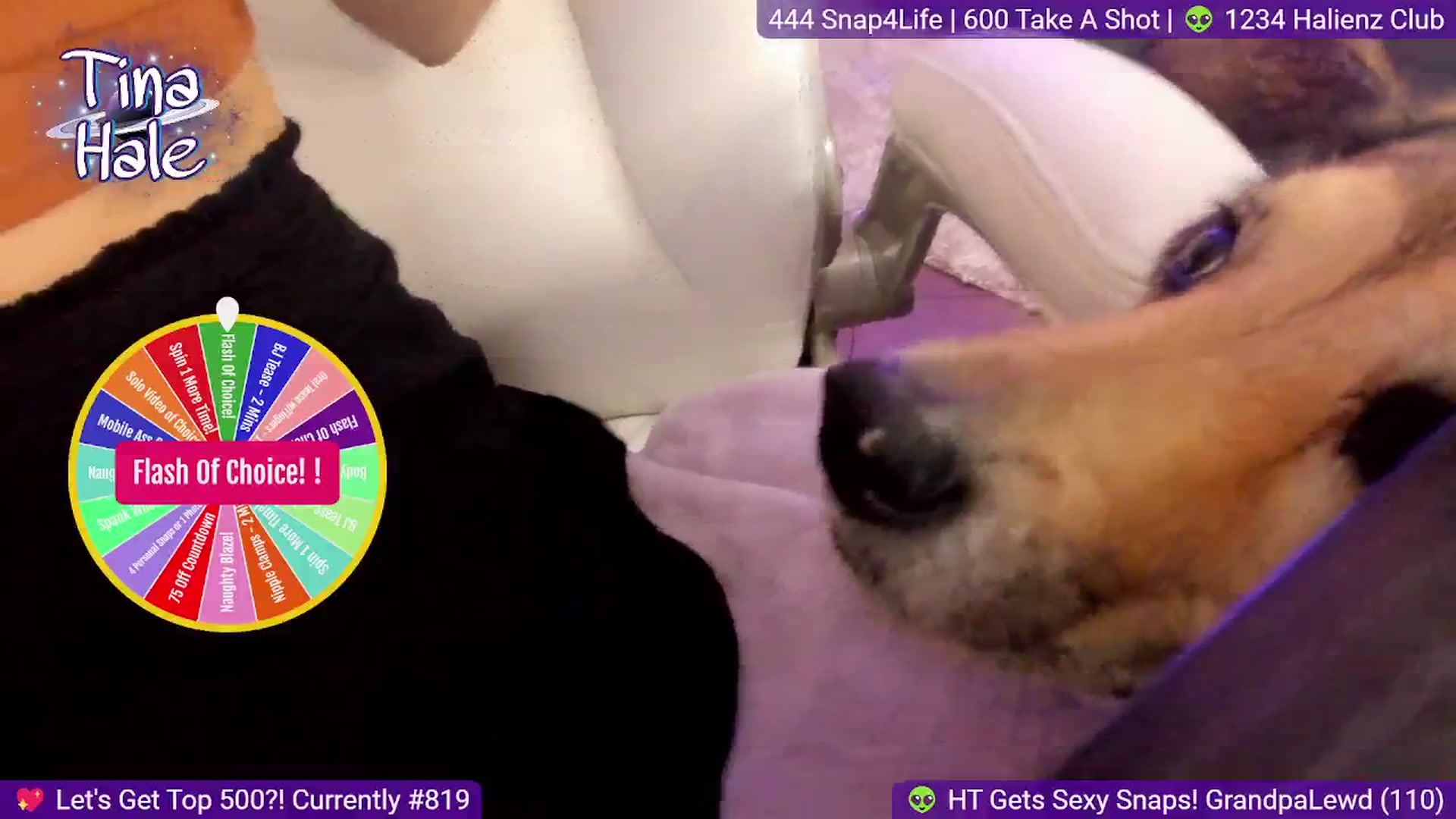Gallery image thumbnail from TinaHale's myfreecams stream on, 09/13/2024, 05:08 image 9 of 20