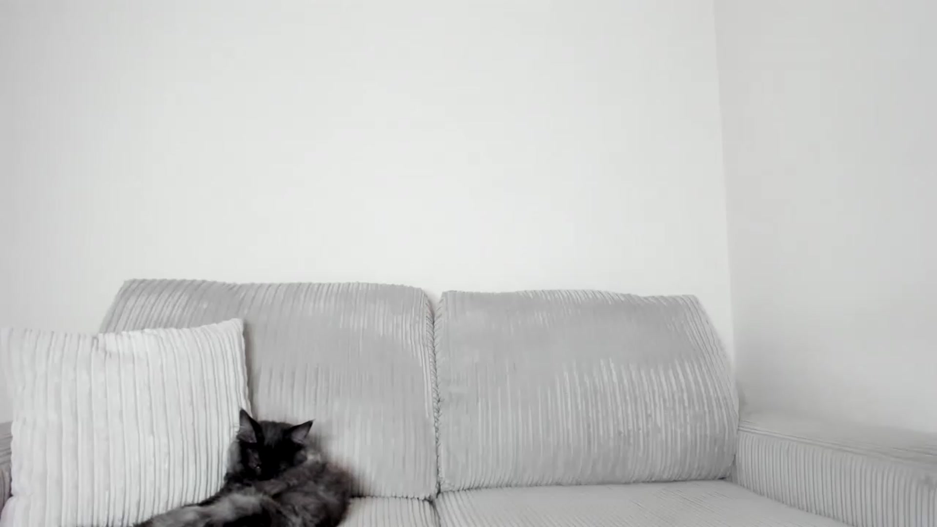 Gallery image thumbnail from Tinasweet__'s myfreecams stream on, 03/28/2023, 17:03 image 12 of 20