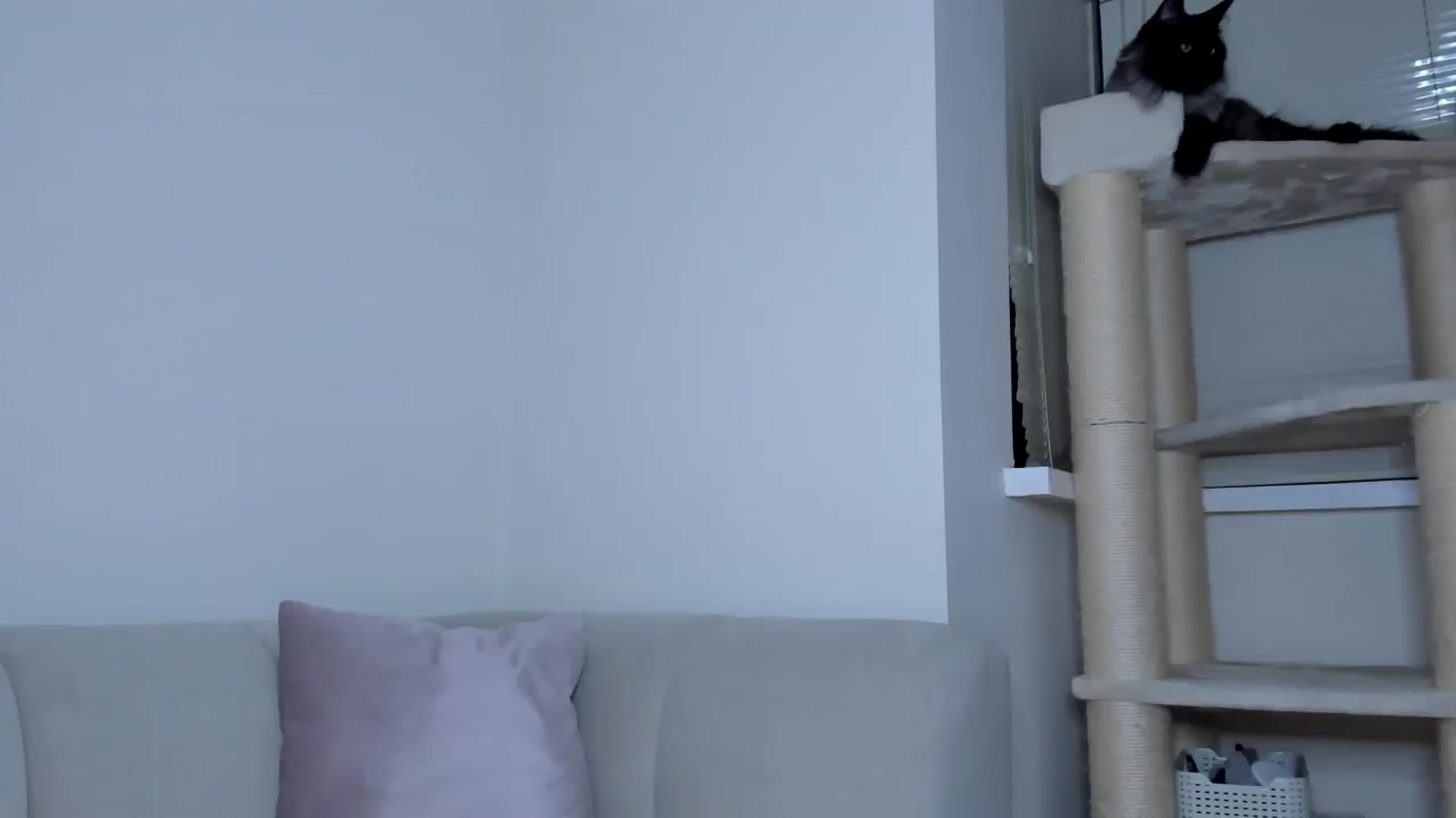 Gallery image thumbnail from Tinasweet__'s myfreecams stream on, 08/14/2025, 23:18 image 17 of 20