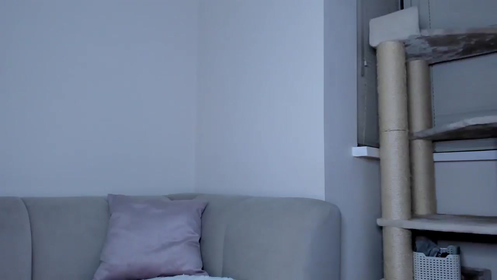 Gallery image thumbnail from Tinasweet__'s myfreecams stream on, 08/24/2025, 23:37 image 12 of 20