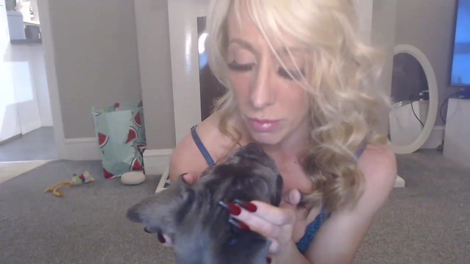 Gallery image thumbnail from Tinkerbell53's myfreecams stream on, 11/19/2022, 01:54 image 3 of 20